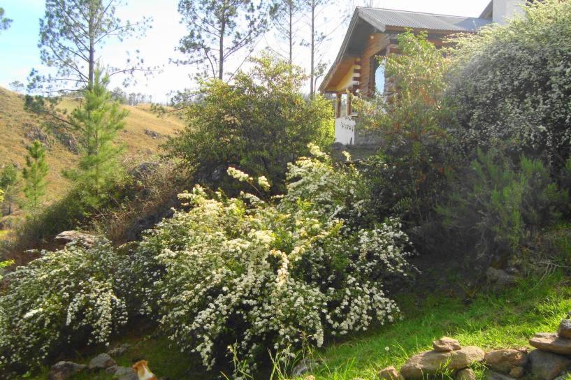 Serranias Del Tabaquillo