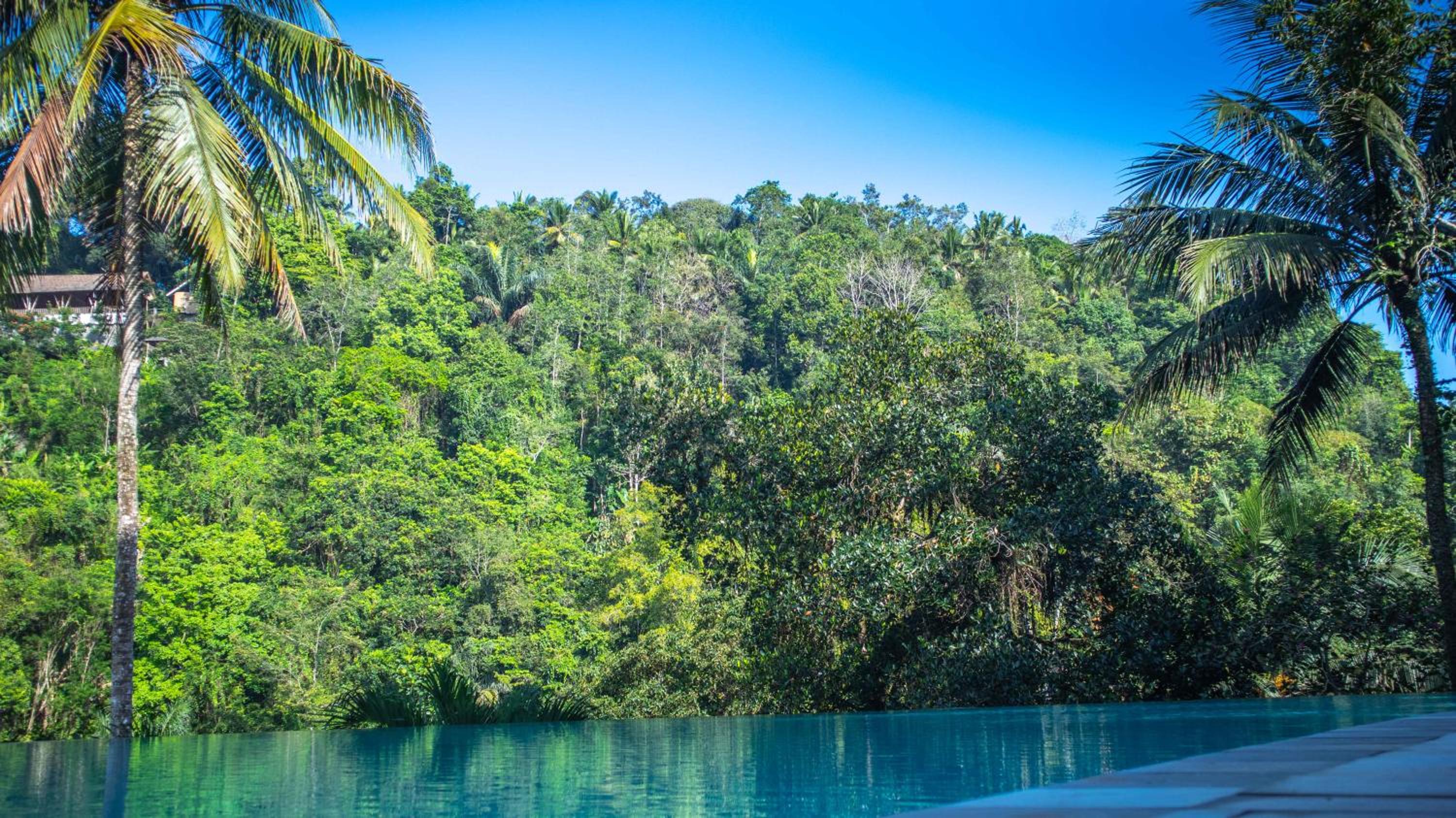 Ayung Resort Ubud