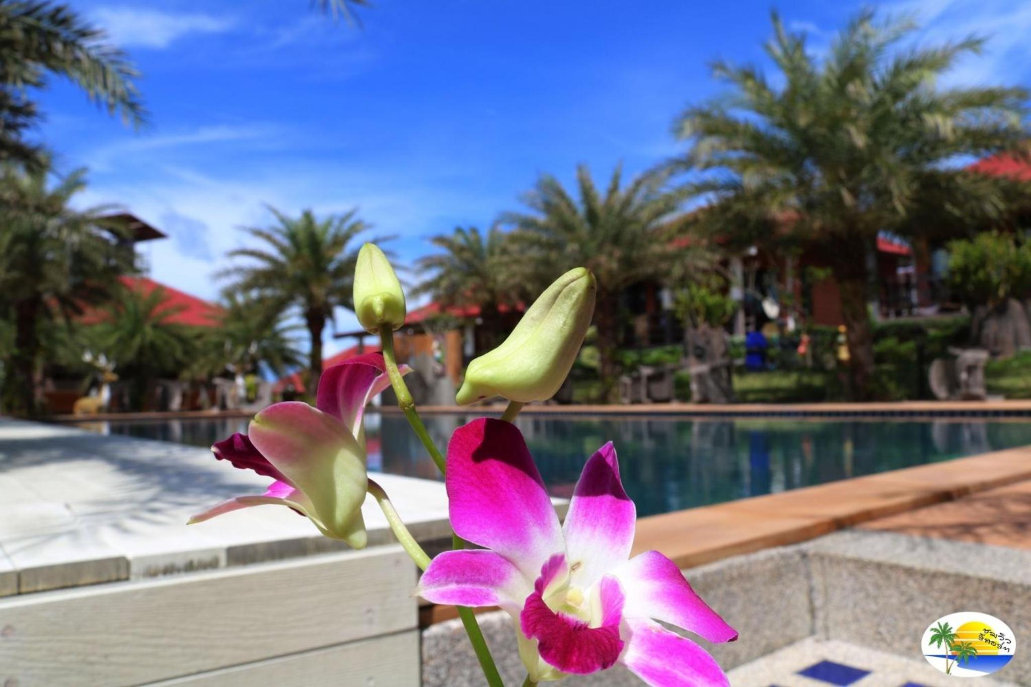 Chomview Resort