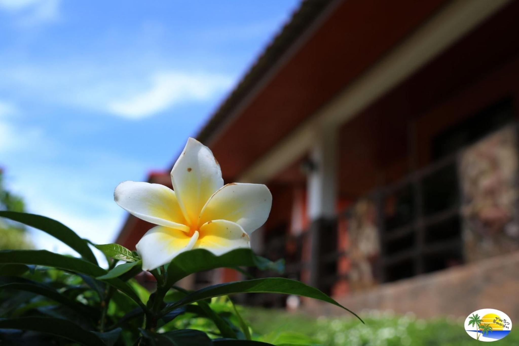 Chomview Resort