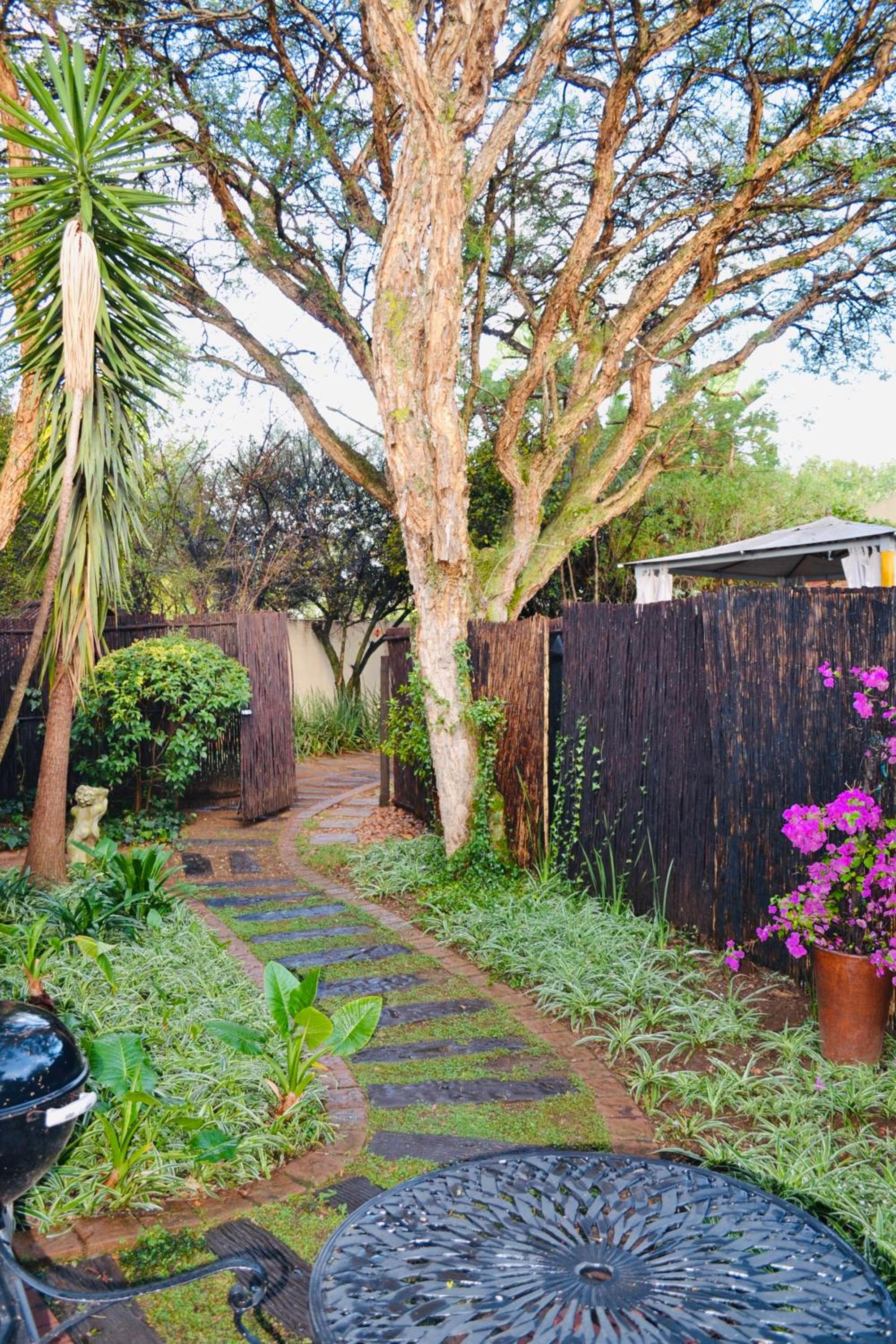 Serendipity Cottage
