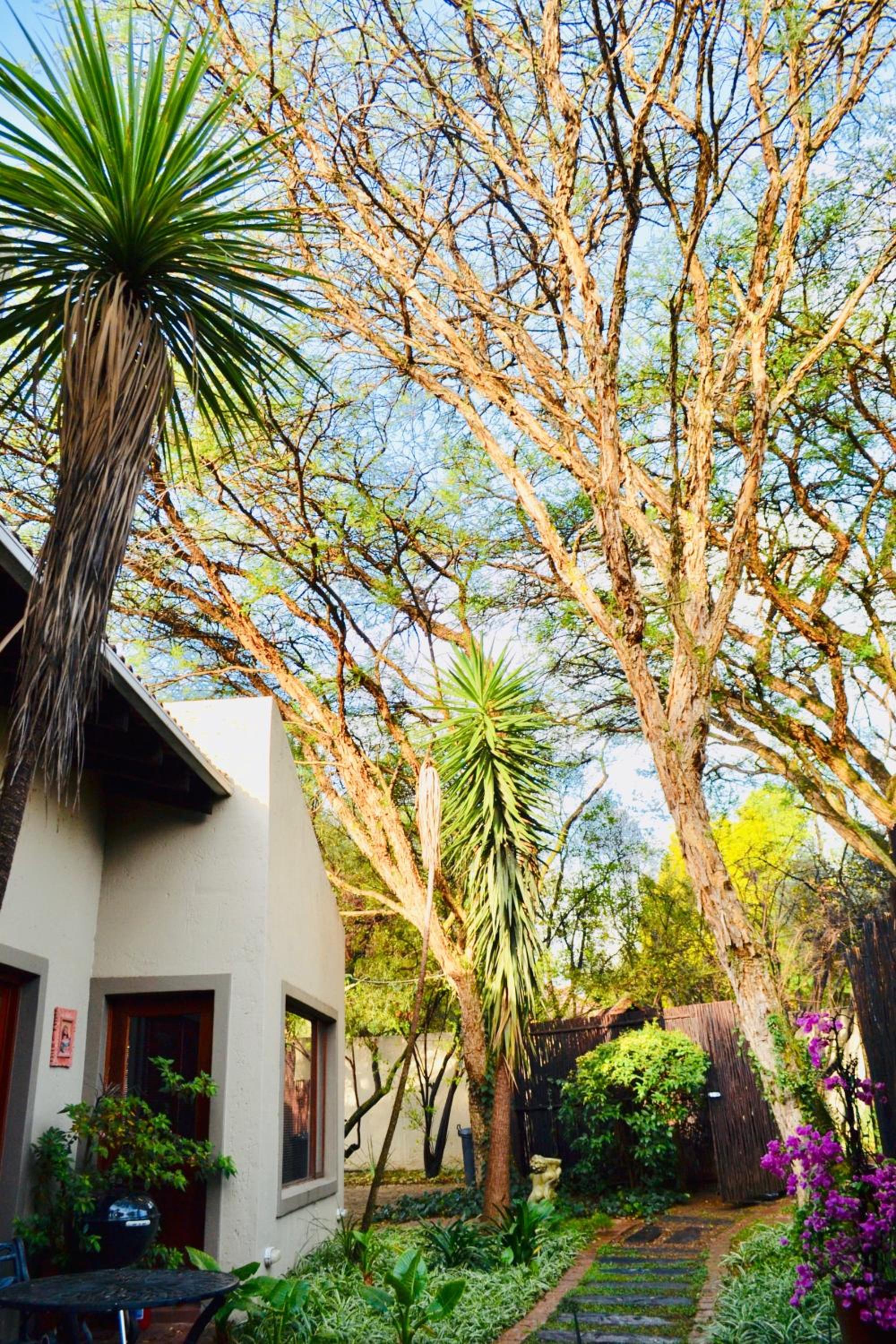 Serendipity Cottage
