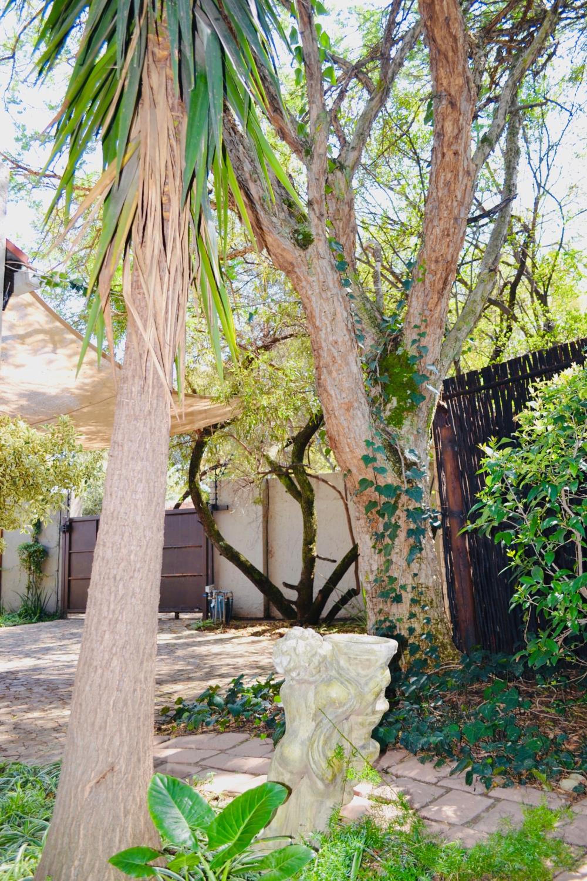 Serendipity Cottage