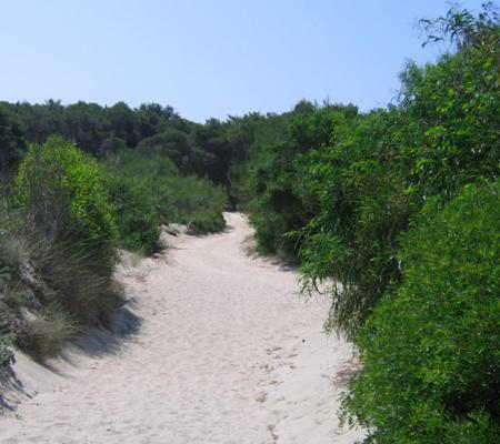 Photo 46