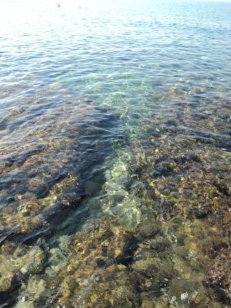 Photo 32
