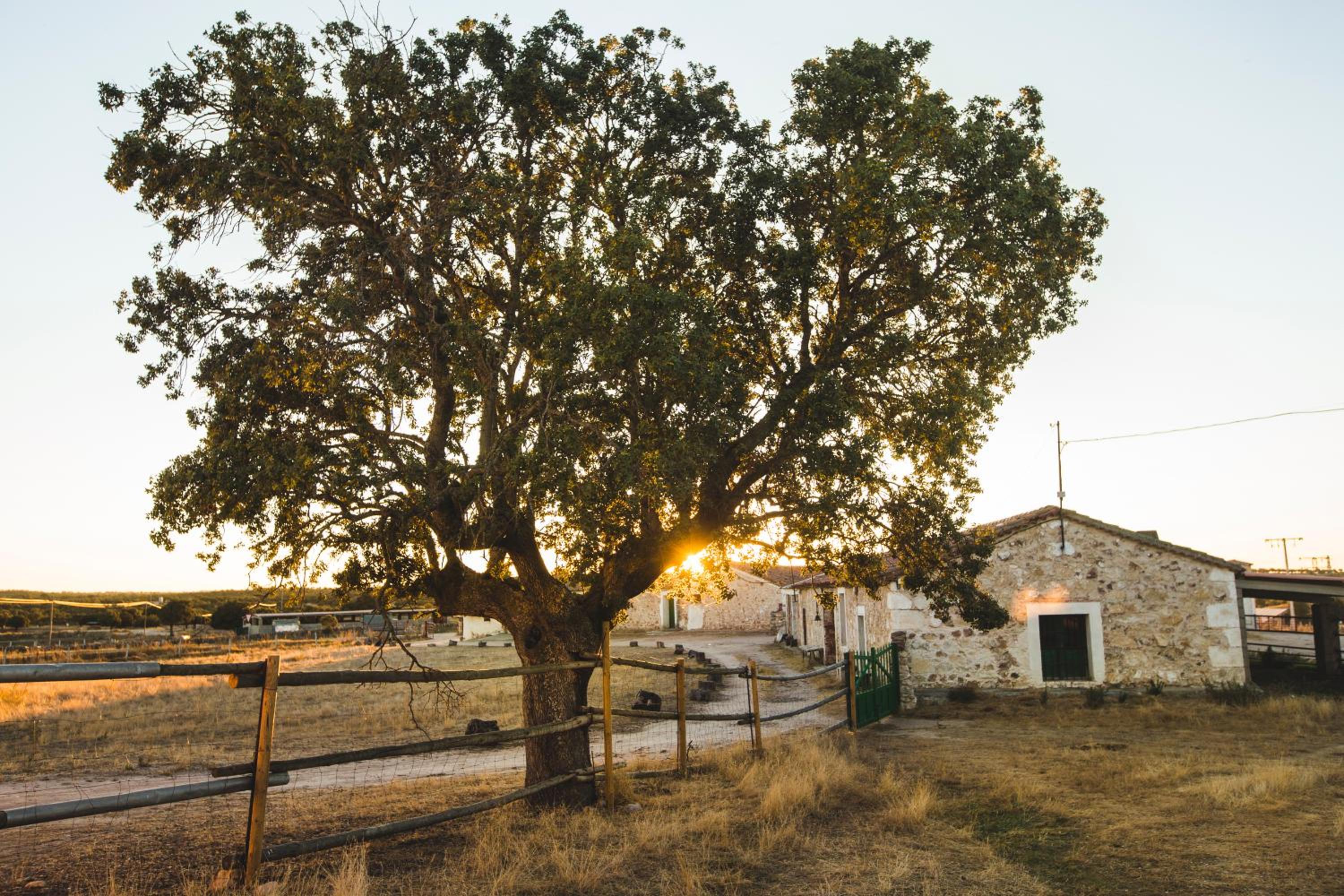 Photo 48