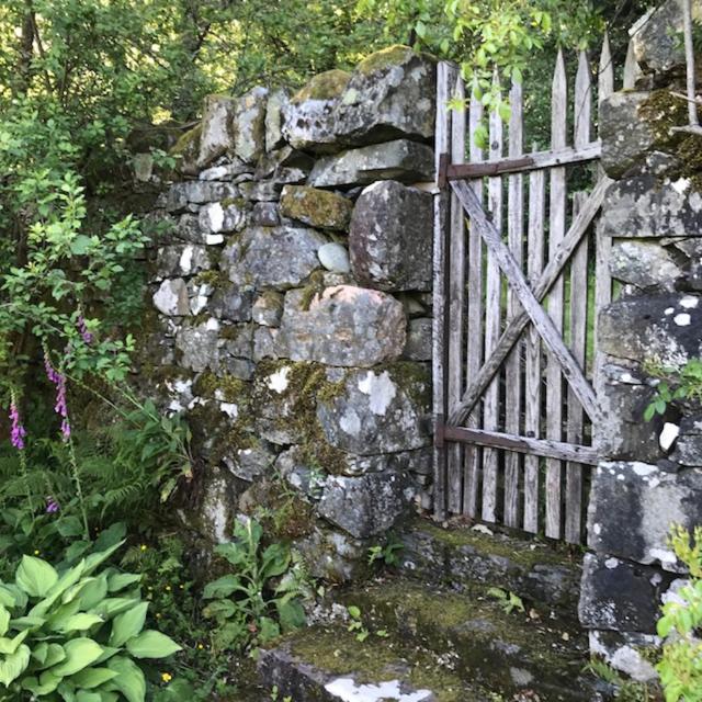 Photo 25