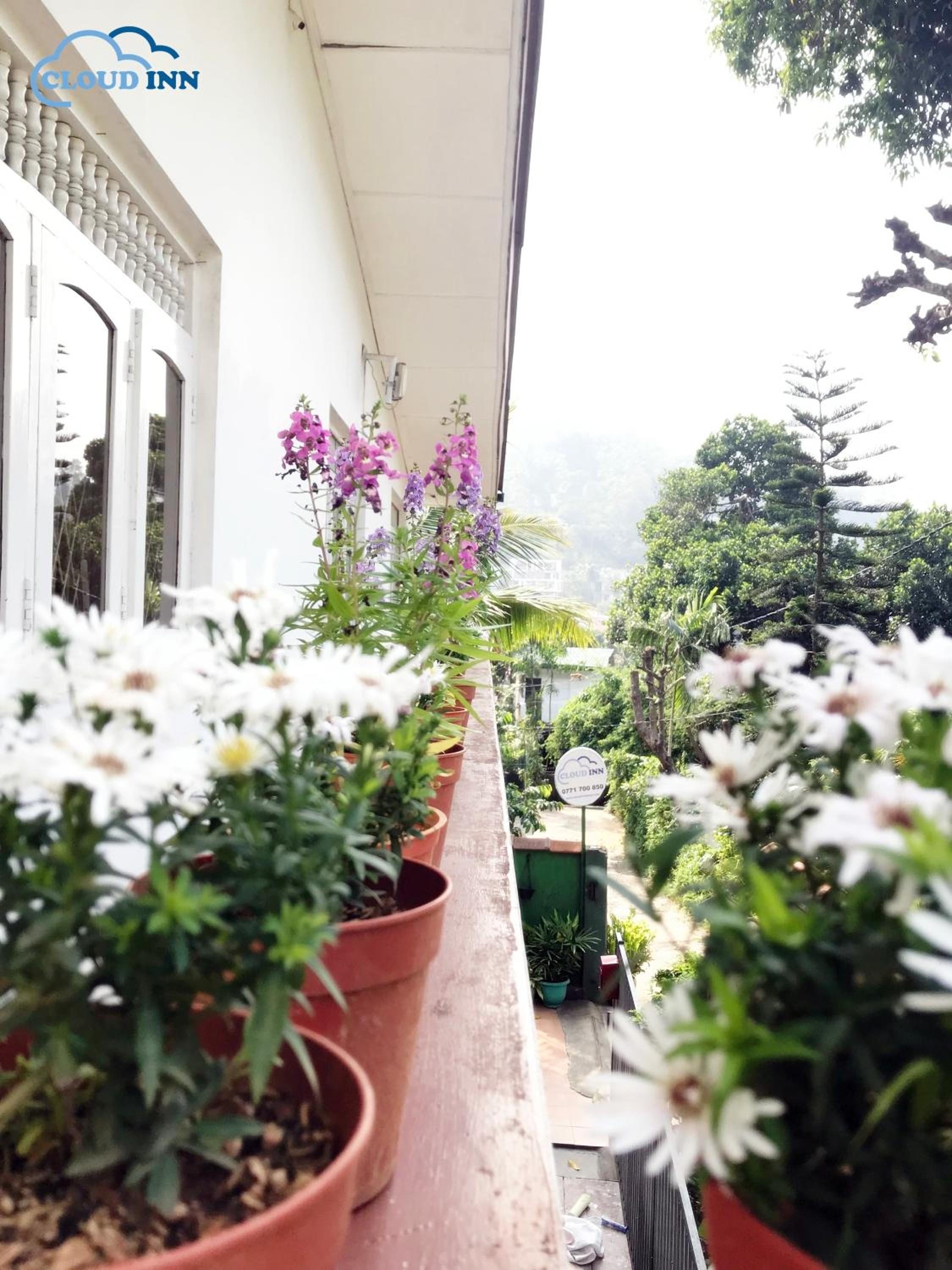 Cloud Inn Kandy Homestay - Near Temple of Tooth