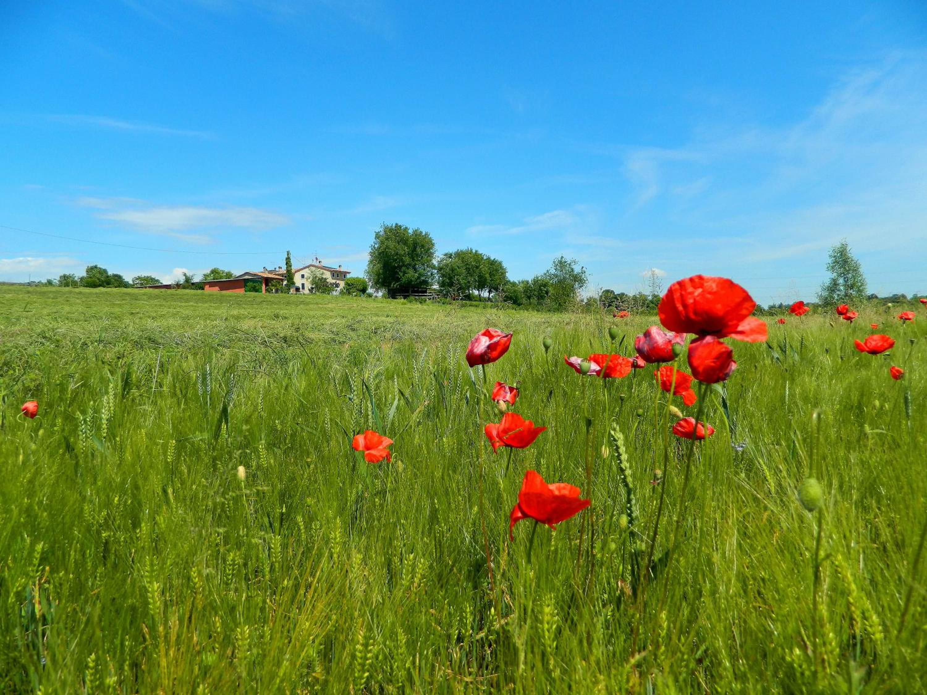 Al Torcol Agriturismo