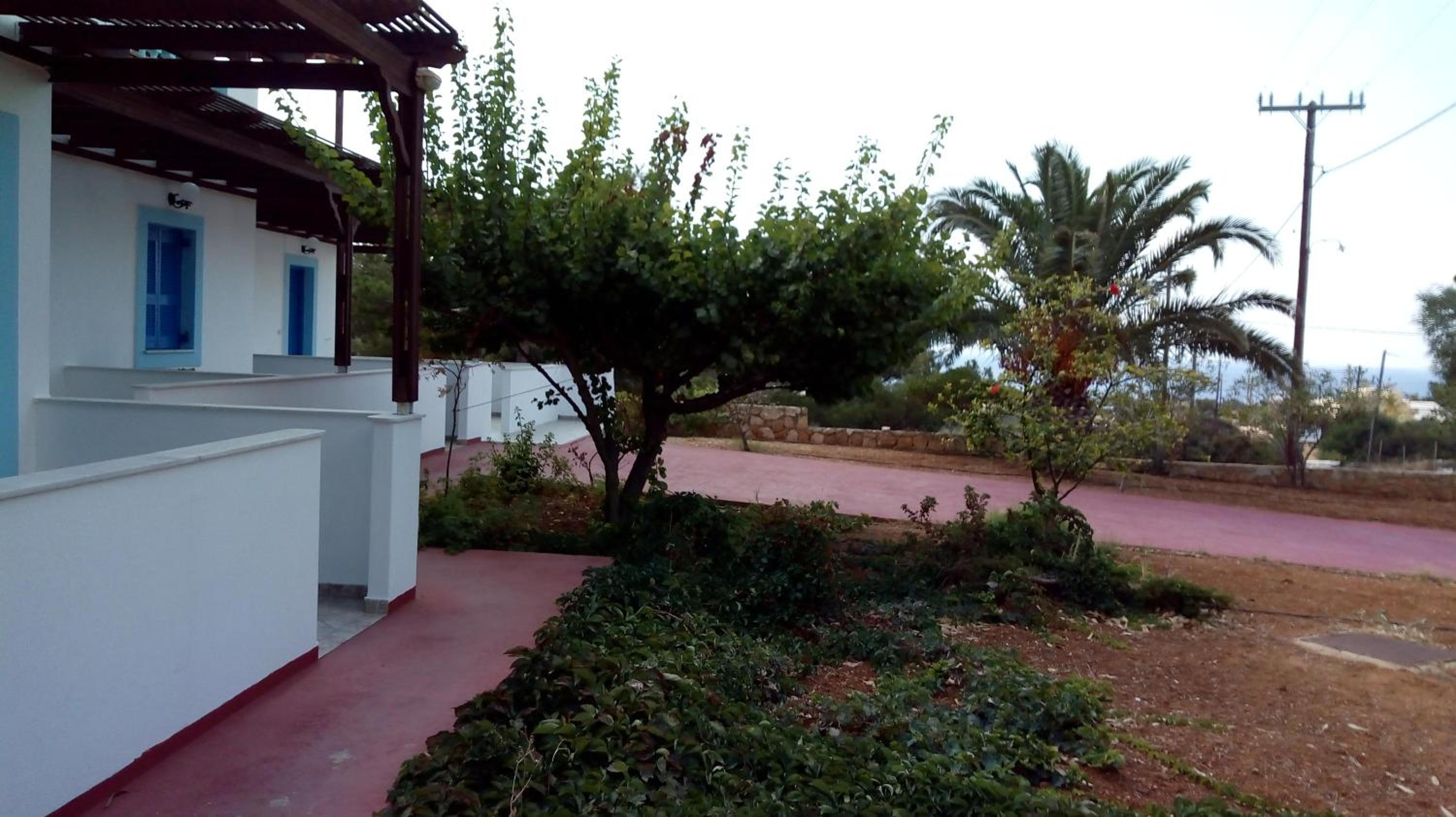 Photo 45