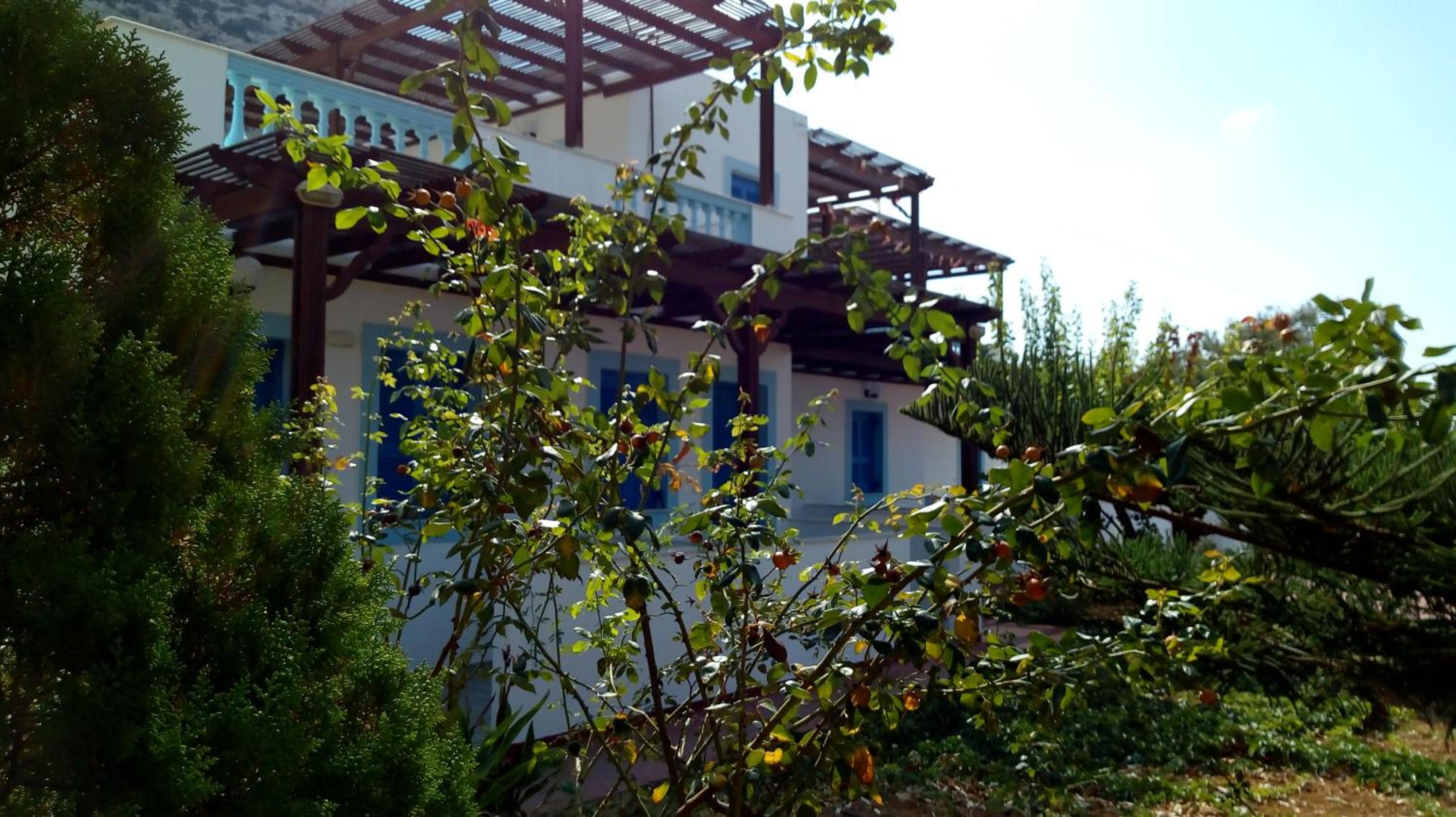 Photo 44