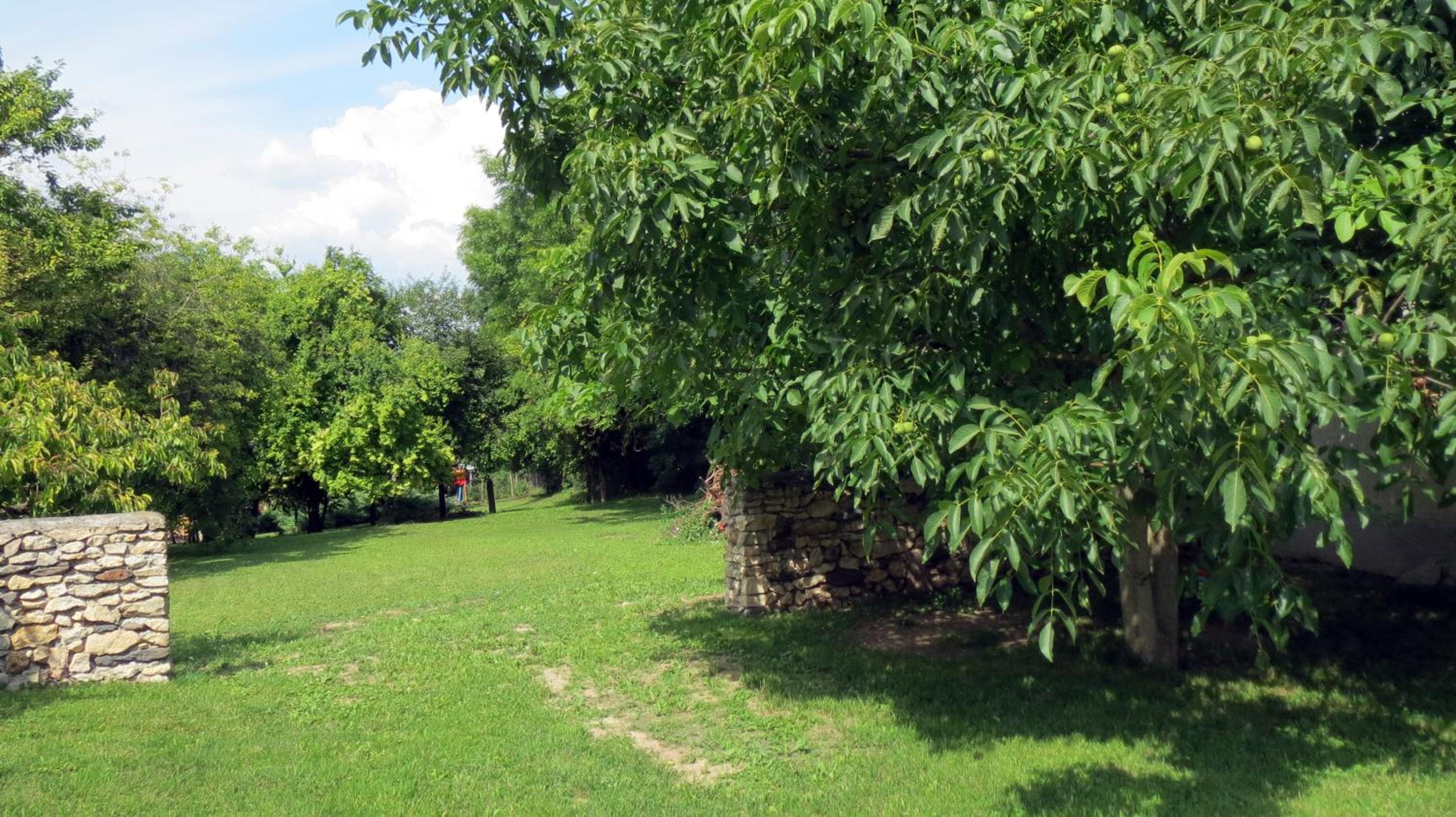 Photo 26