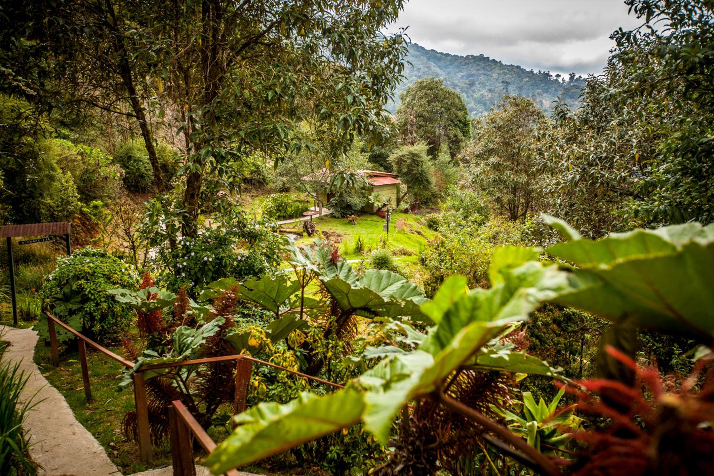 Paraíso Quetzal Lodge view 4