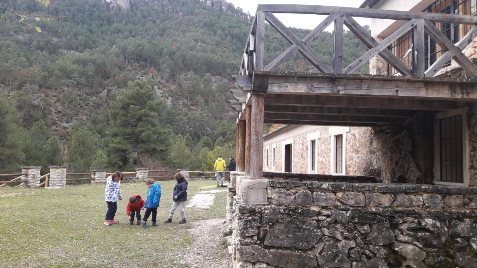 Photo 11