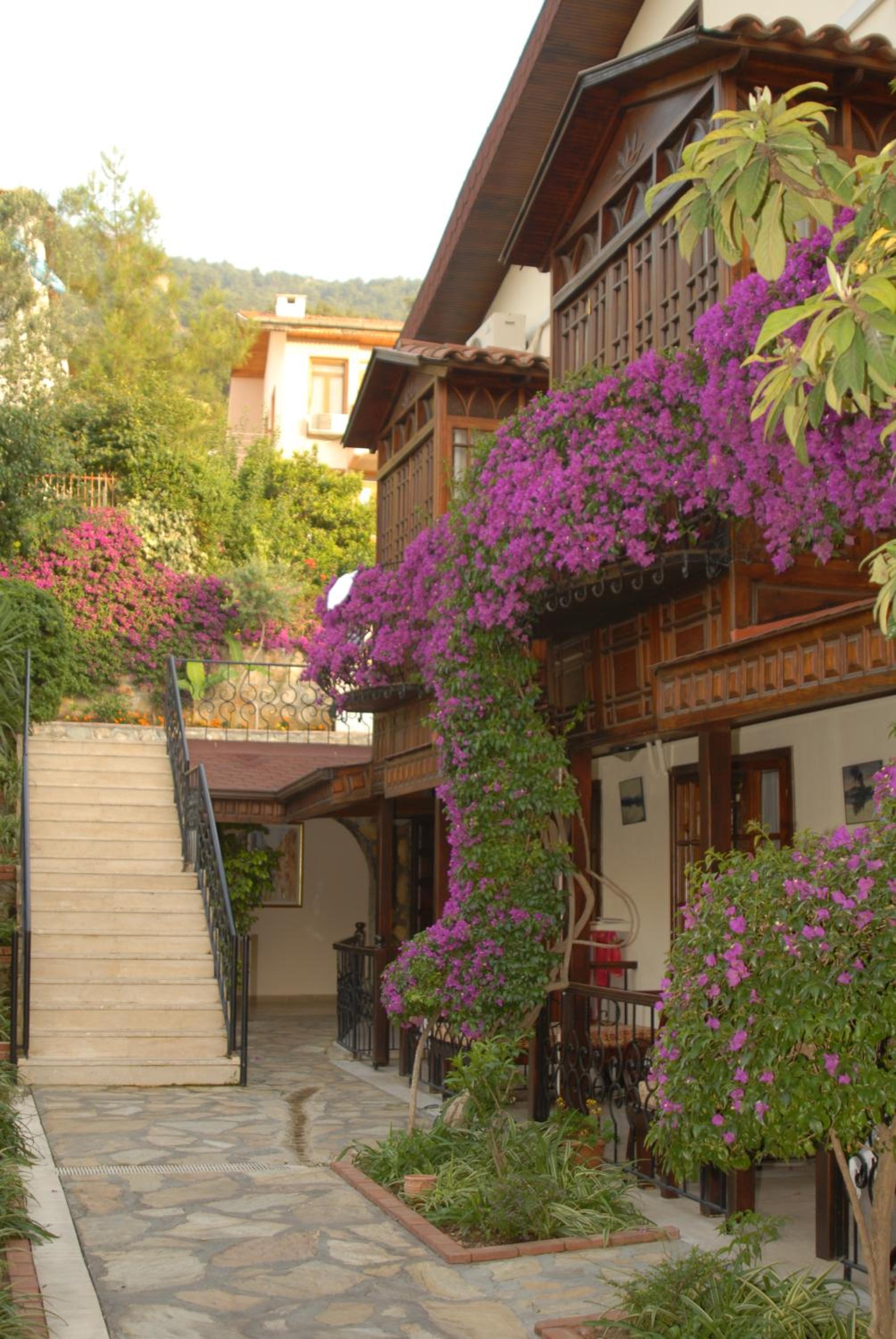 Hotel Villa Daffodil - Image 8