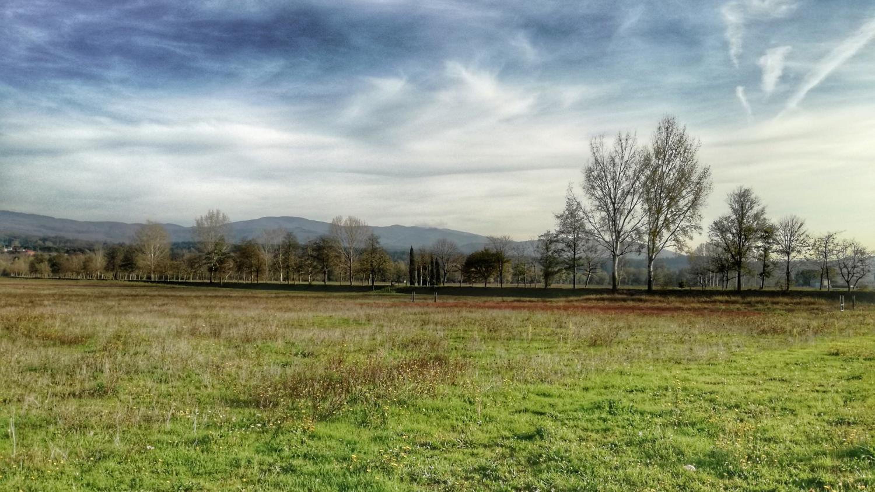 Agriturismo Casa Agricola Rossi Appartamenti in Casentino view 3