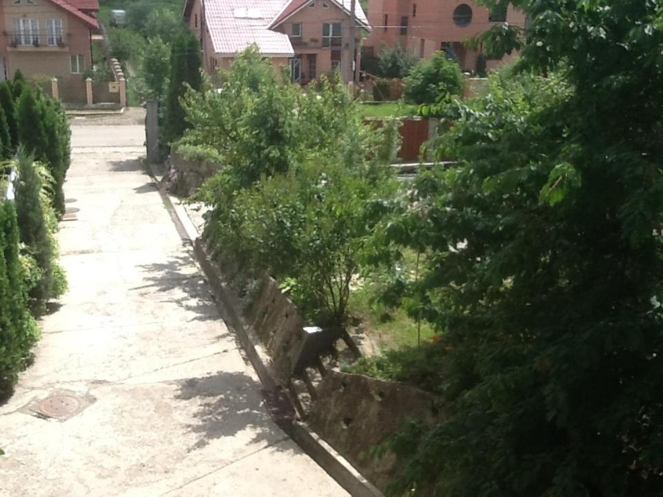 Photo 38