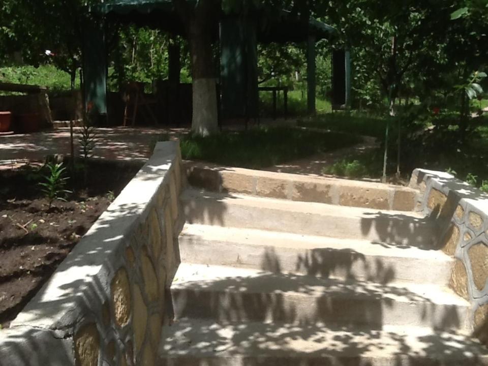 Photo 43
