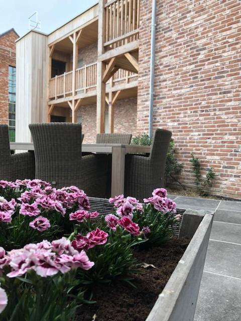 B&B Sasput
