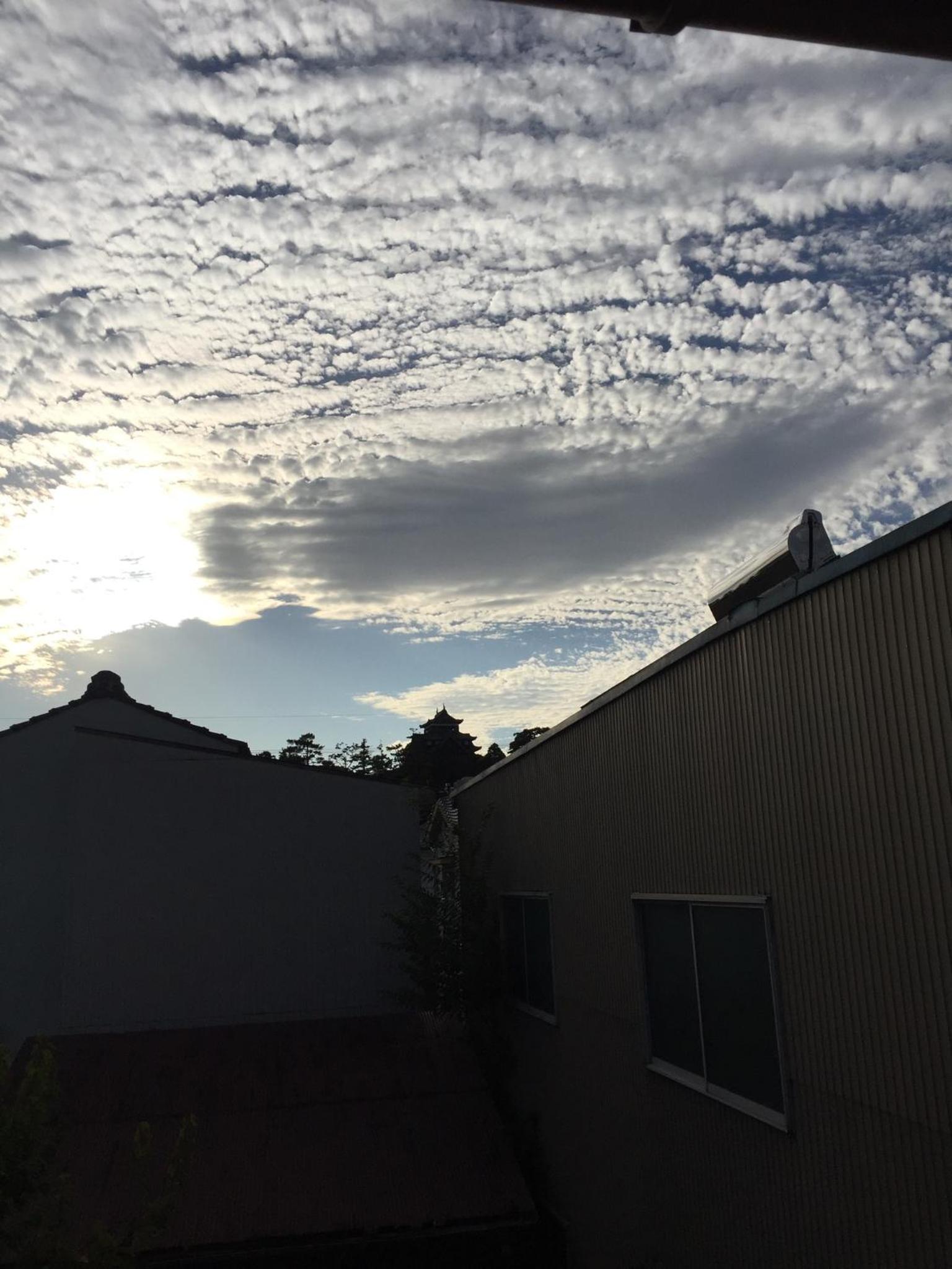Photo 29
