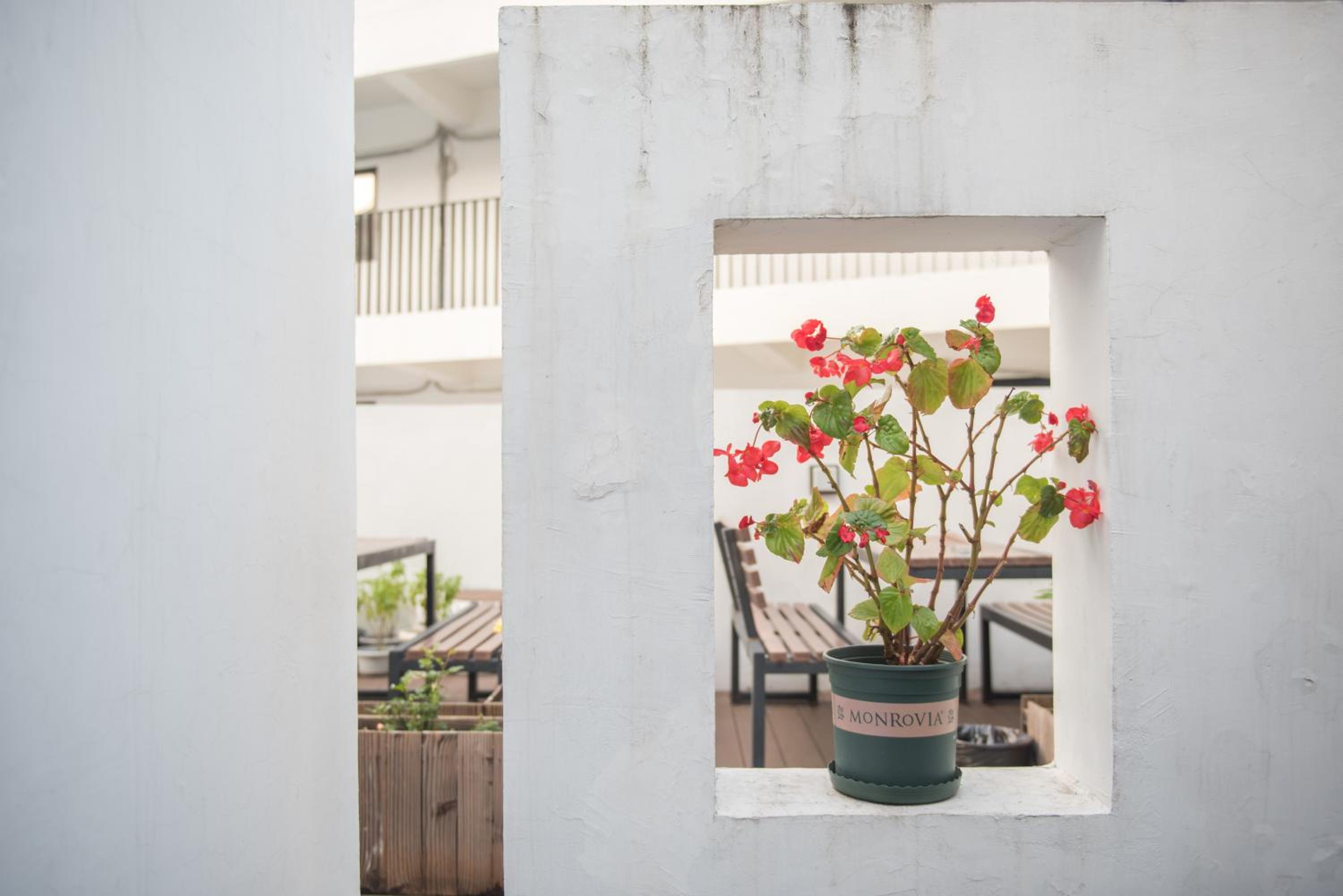 Hidden Garden Youth Hostel -Oriental Pearl &Lujiazui -Garden Social Area -Bar -Café -Free Laundry Luggage Storage -24H Front Desk -English Service