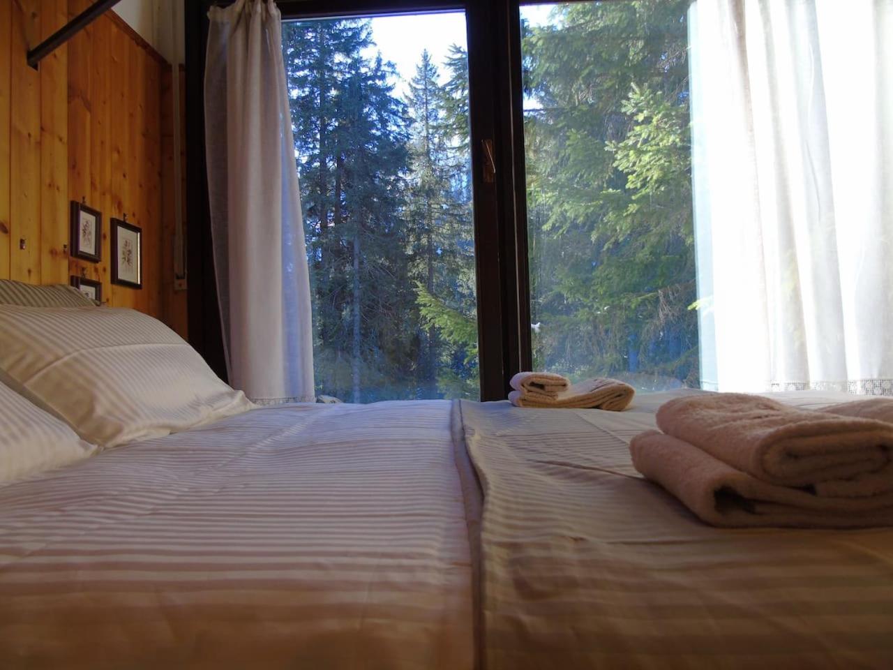 Hs4U Chalet sulle piste - Dolomiti - Madonna di Campiglio view 3