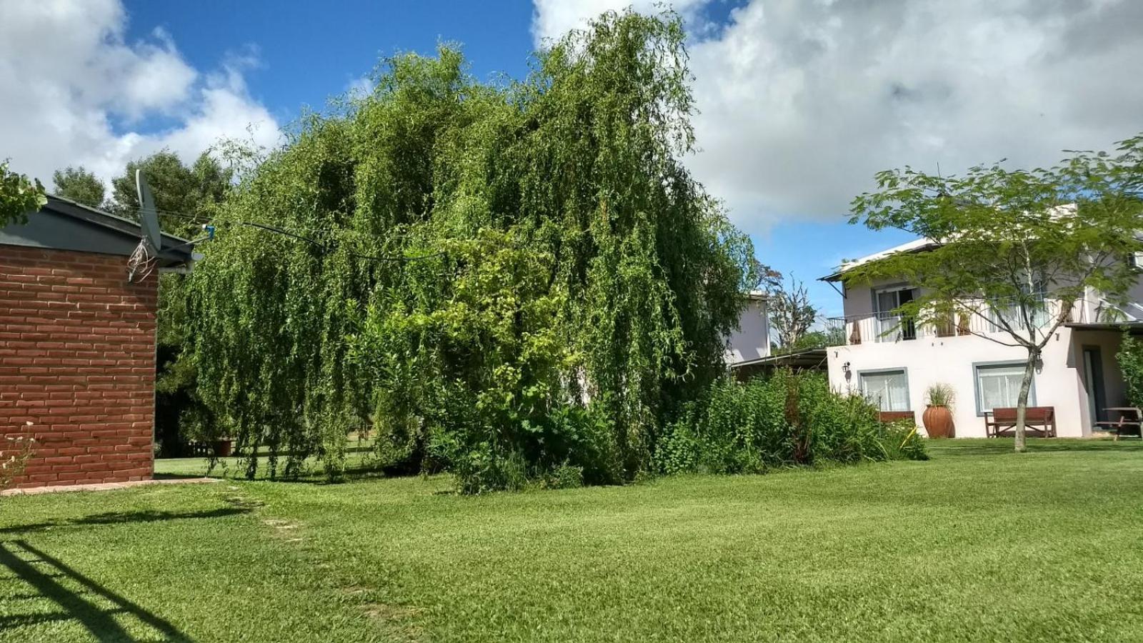 Cabañas Tranquera 8
