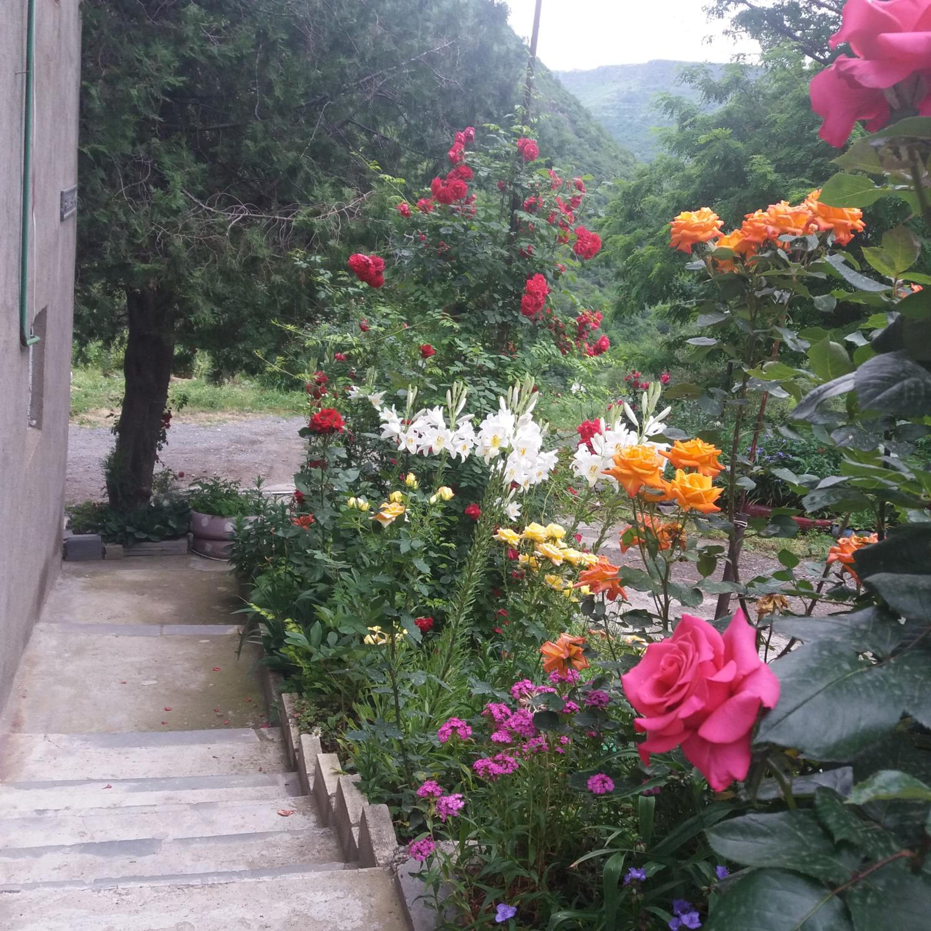 IRIS B&B in DEBED CANYON