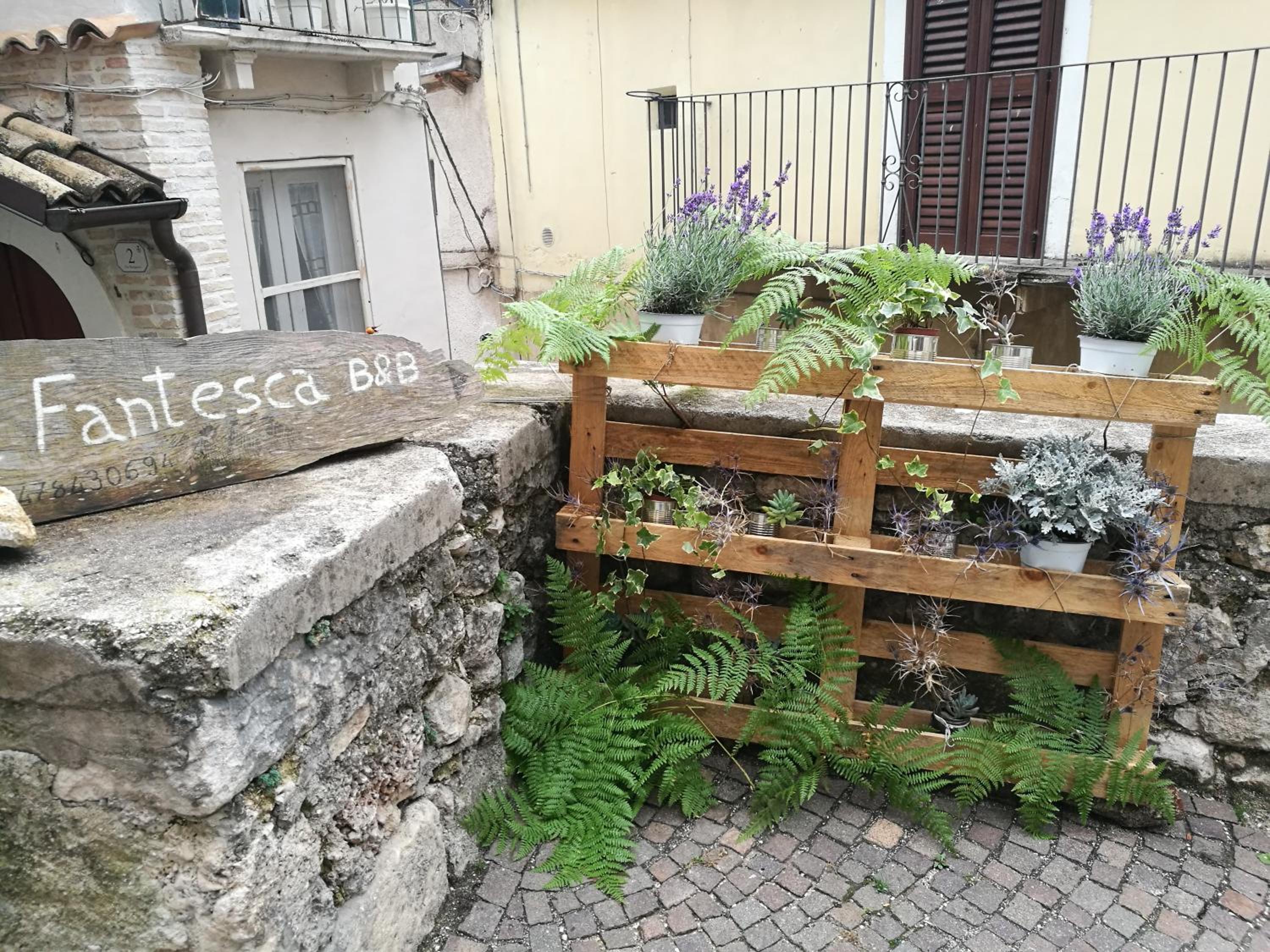 Photo 13