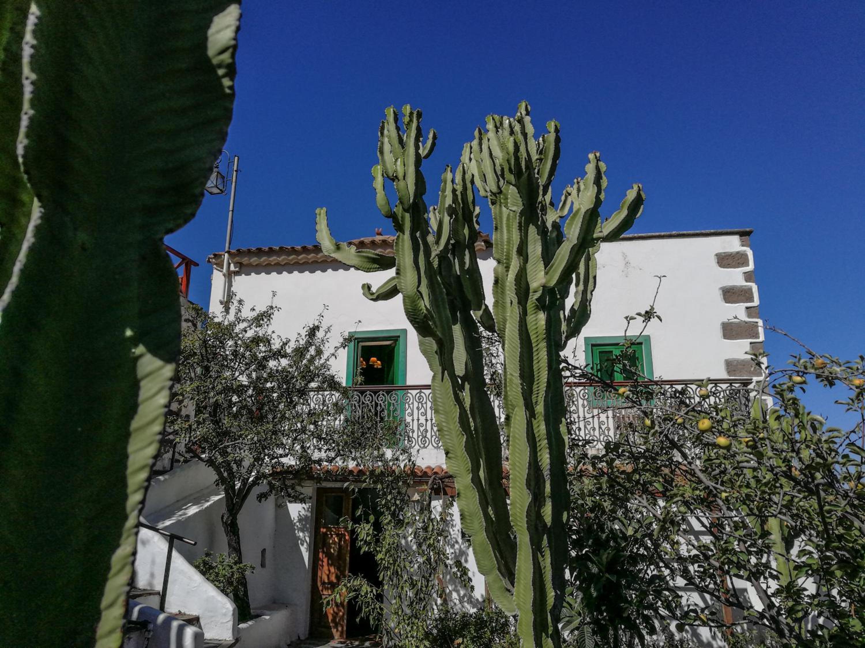 Casa Servando