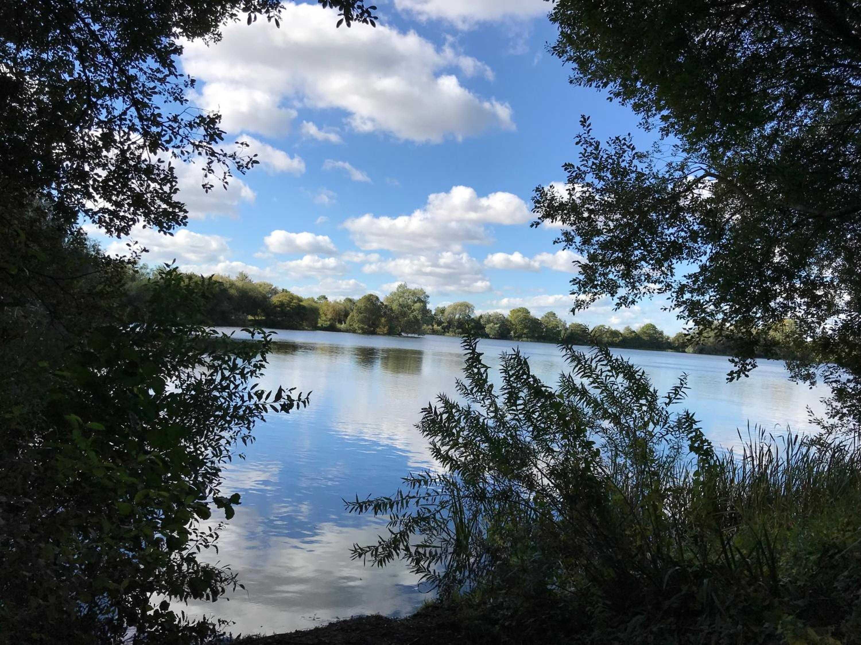 Photo 25