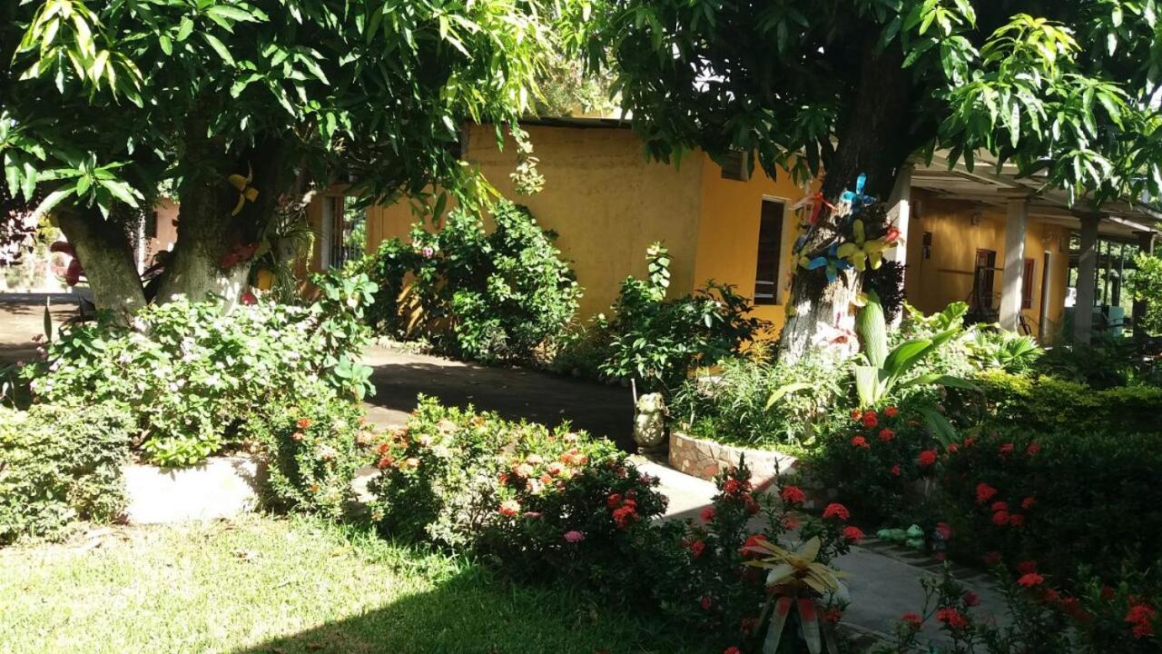 Photo 23