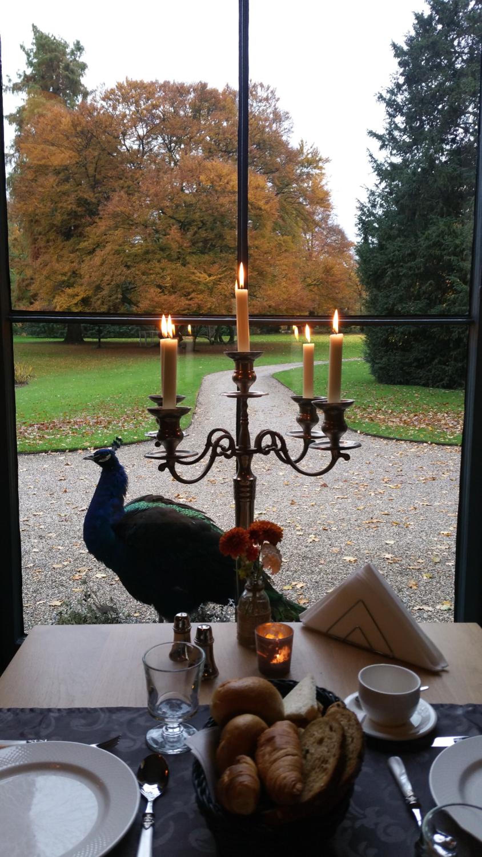 B&B en SPA Landgoed Matanze