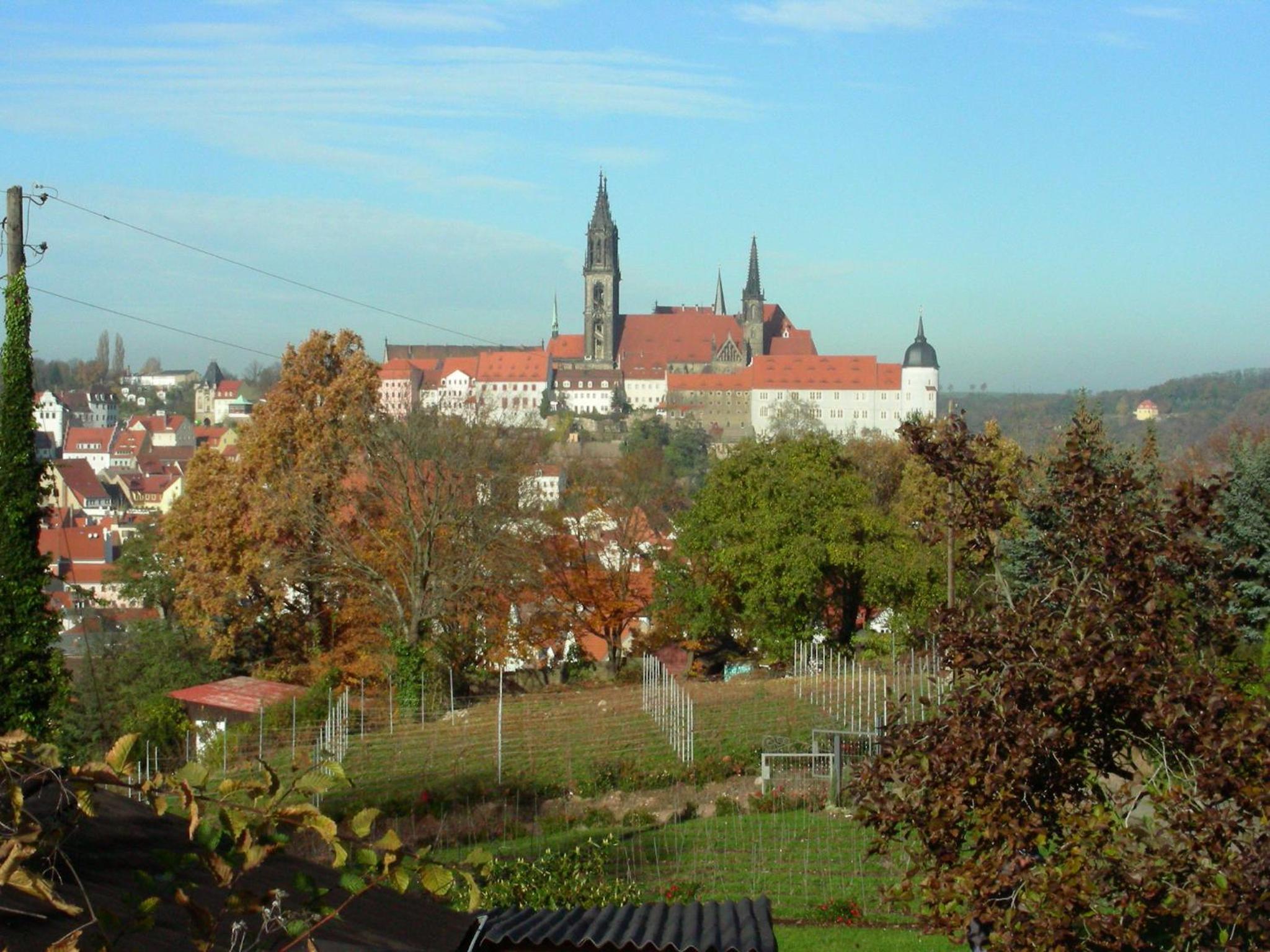 Photo 61