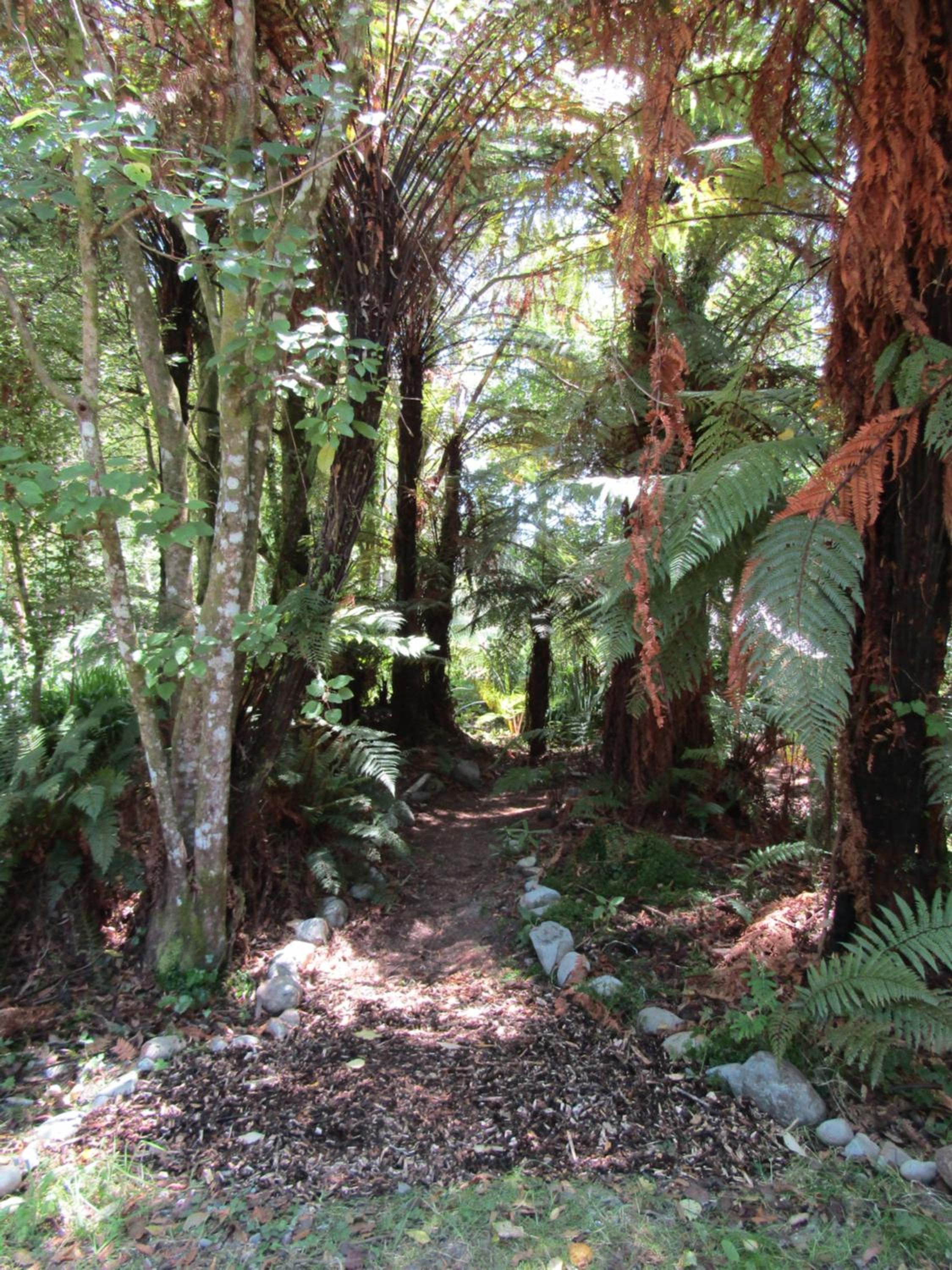 Photo 21