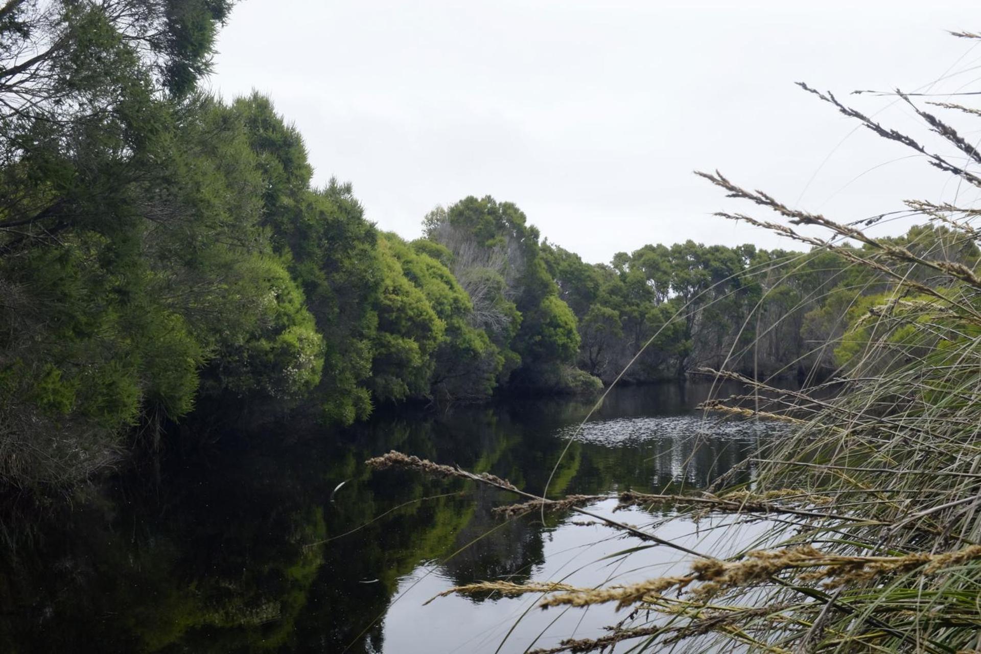 other