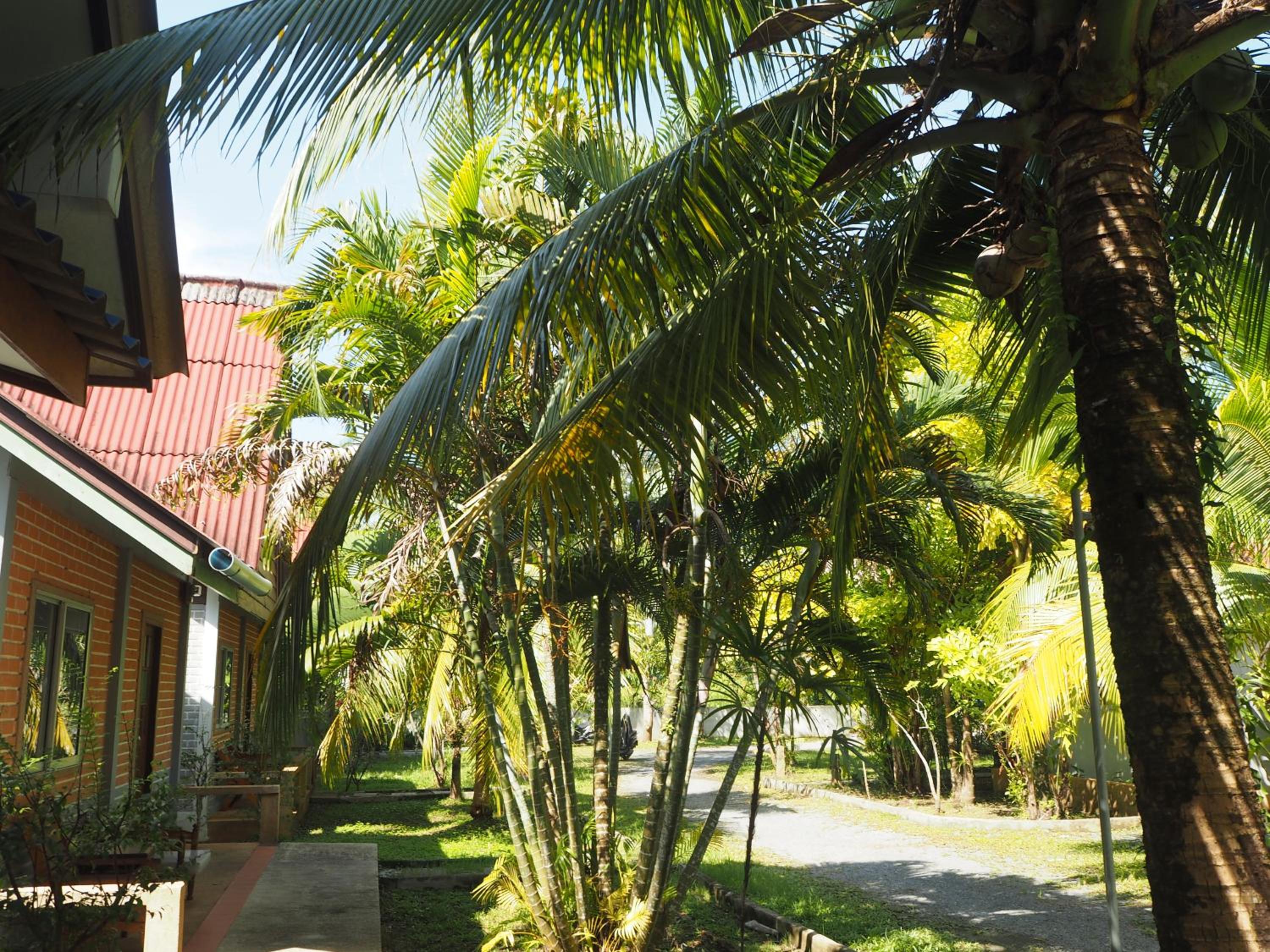 Coconut Bungalow