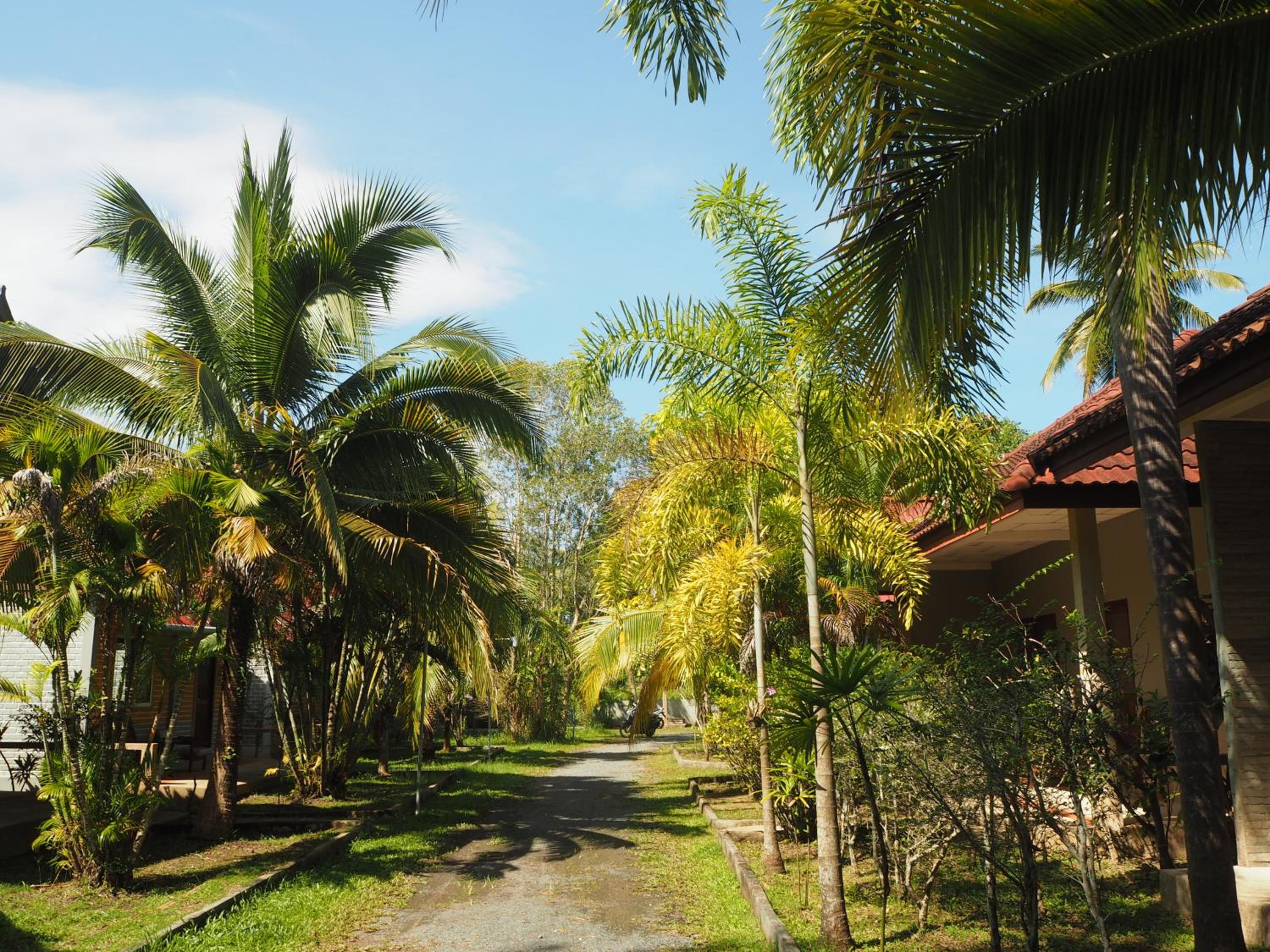 Coconut Bungalow