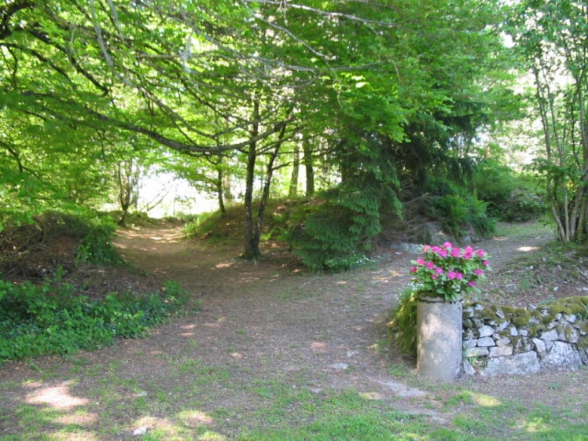 Photo 35