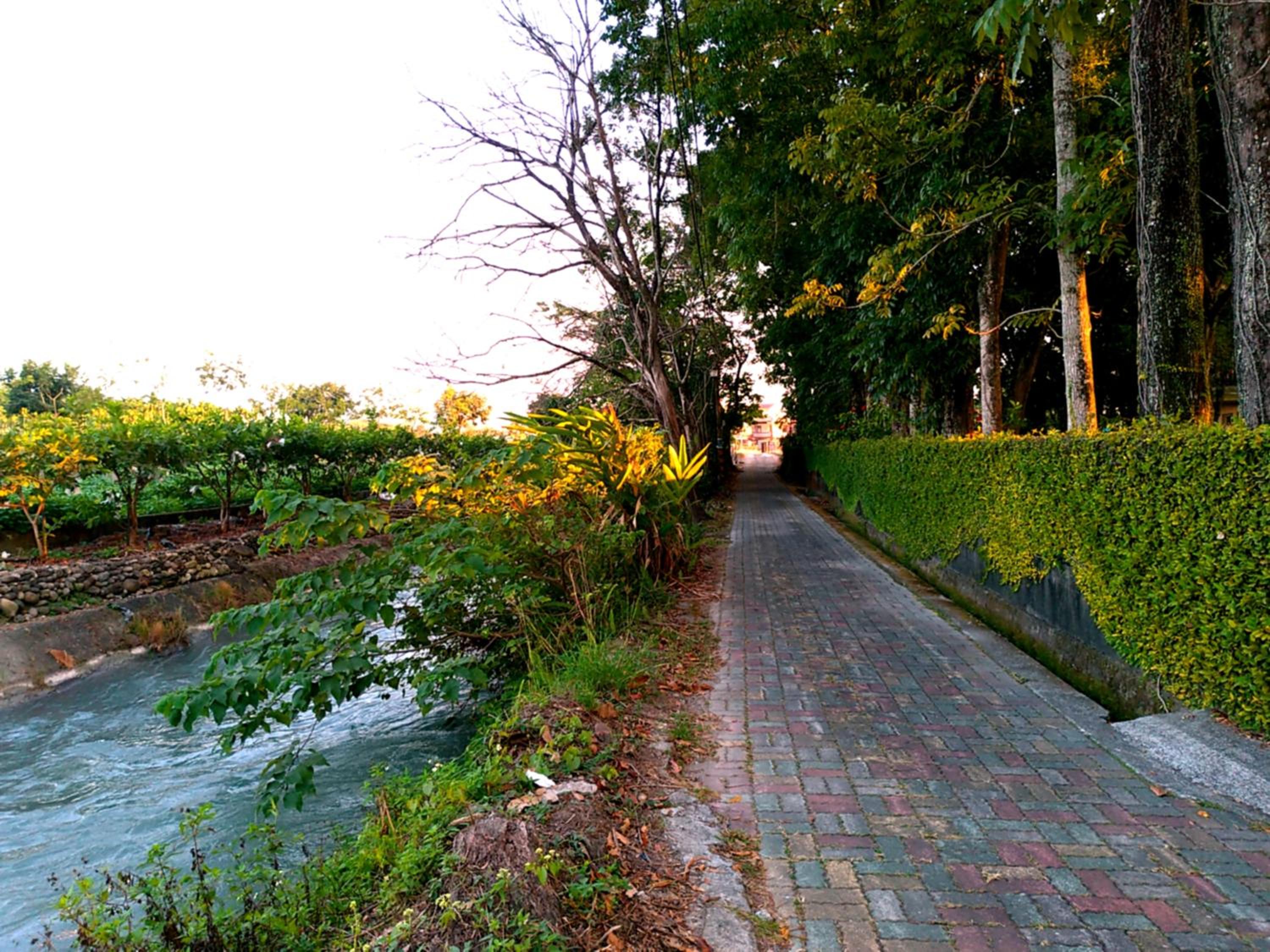 Meinong Yun Shanju Homestay