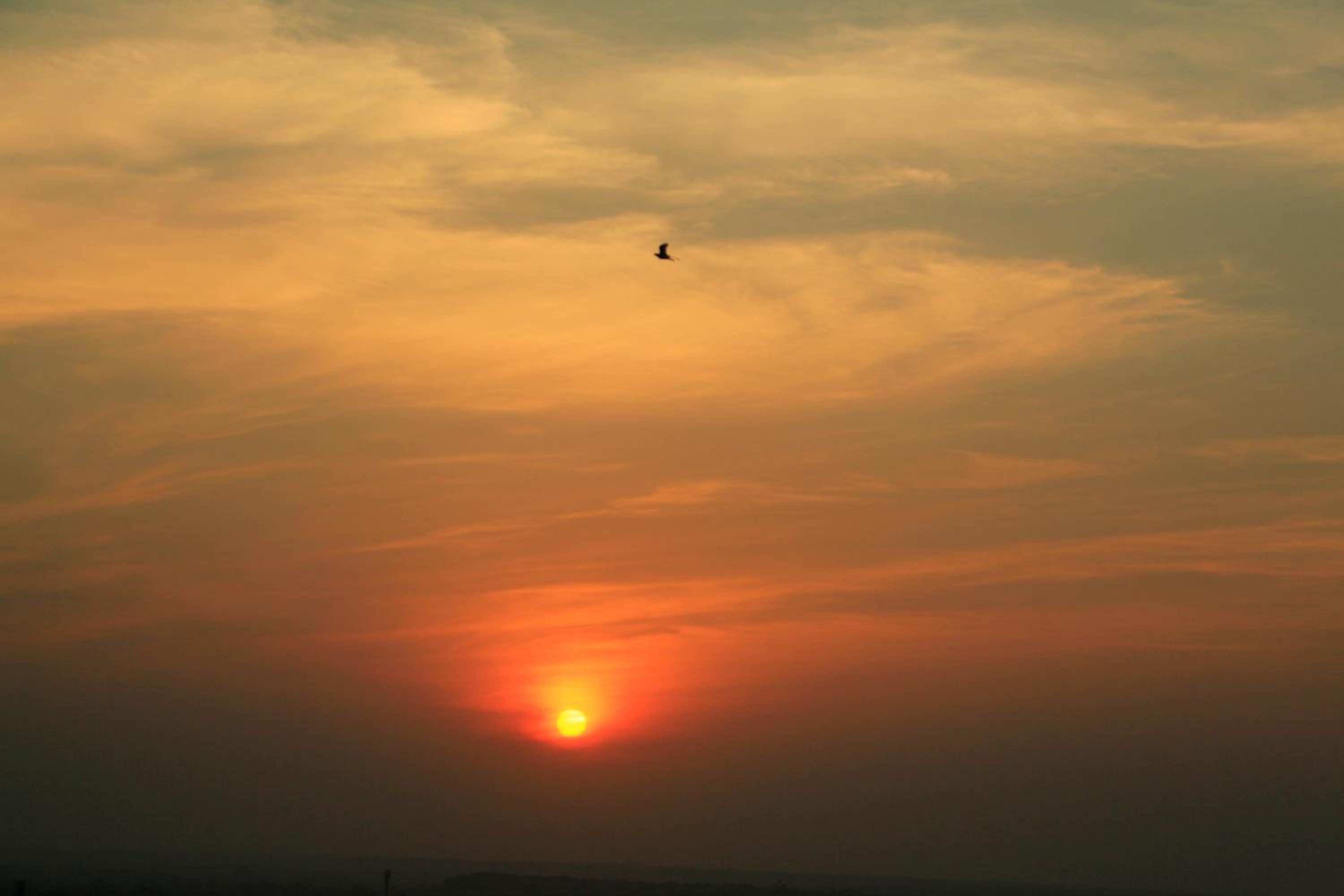 Photo 48