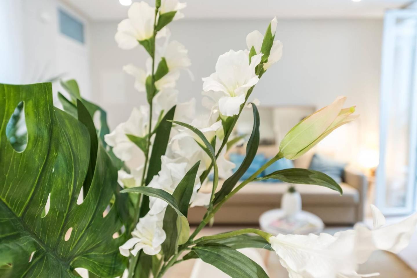 Explore Madrid from a warm apartment with patio at a newly refurbished manorial building