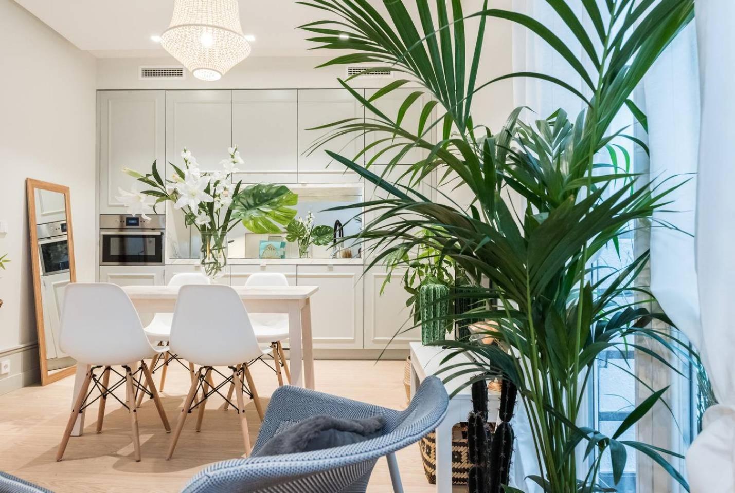 Explore Madrid from a warm apartment with patio at a newly refurbished manorial building
