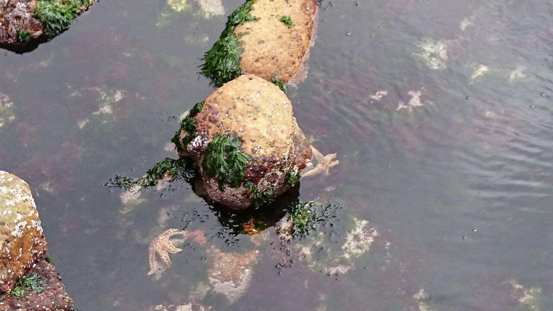 Departamento Frente al Mar