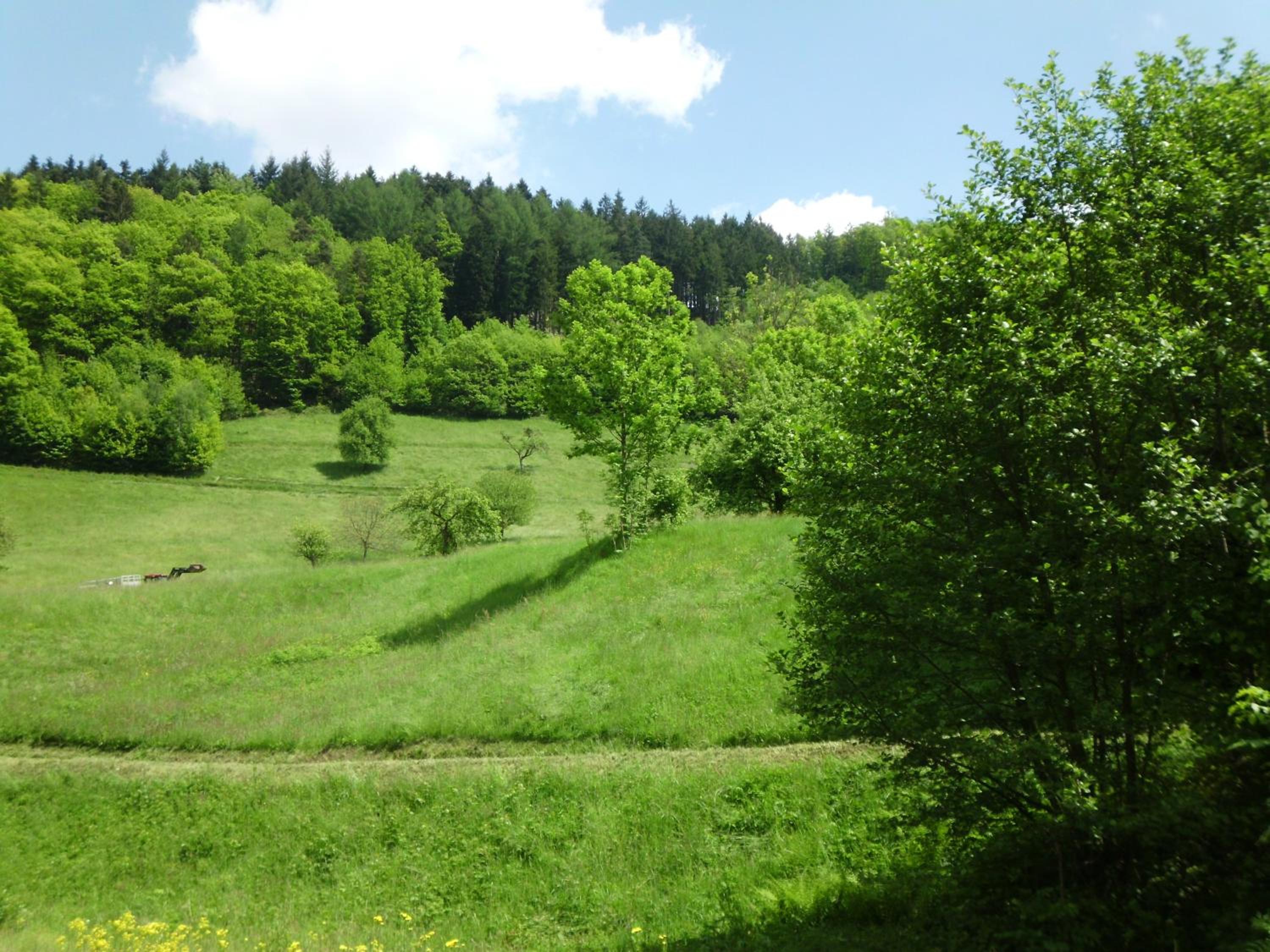 Finken, Gästezimmer an der Rench