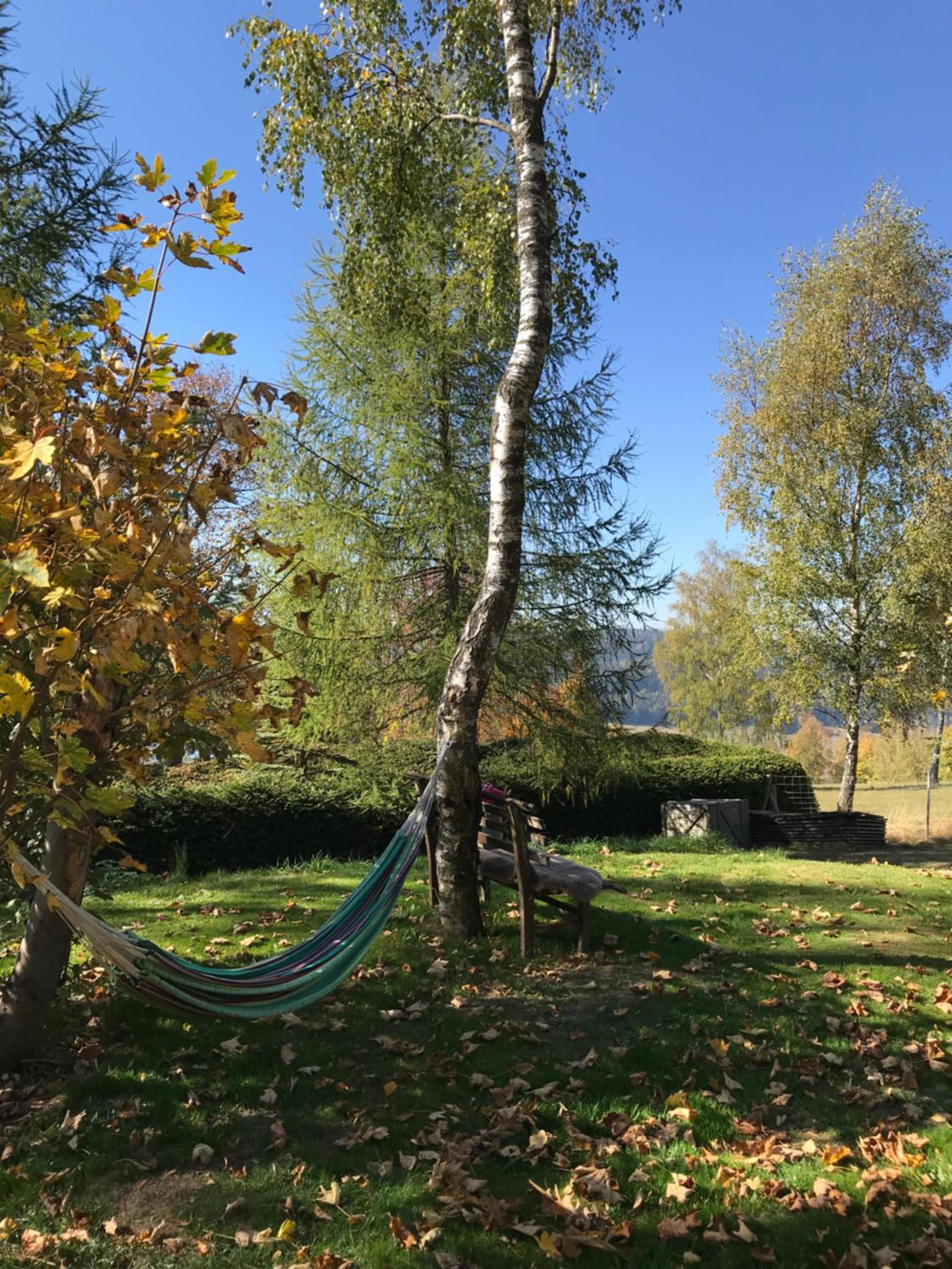 Ferienhaus Berghütte Vogtland in Klingenthal