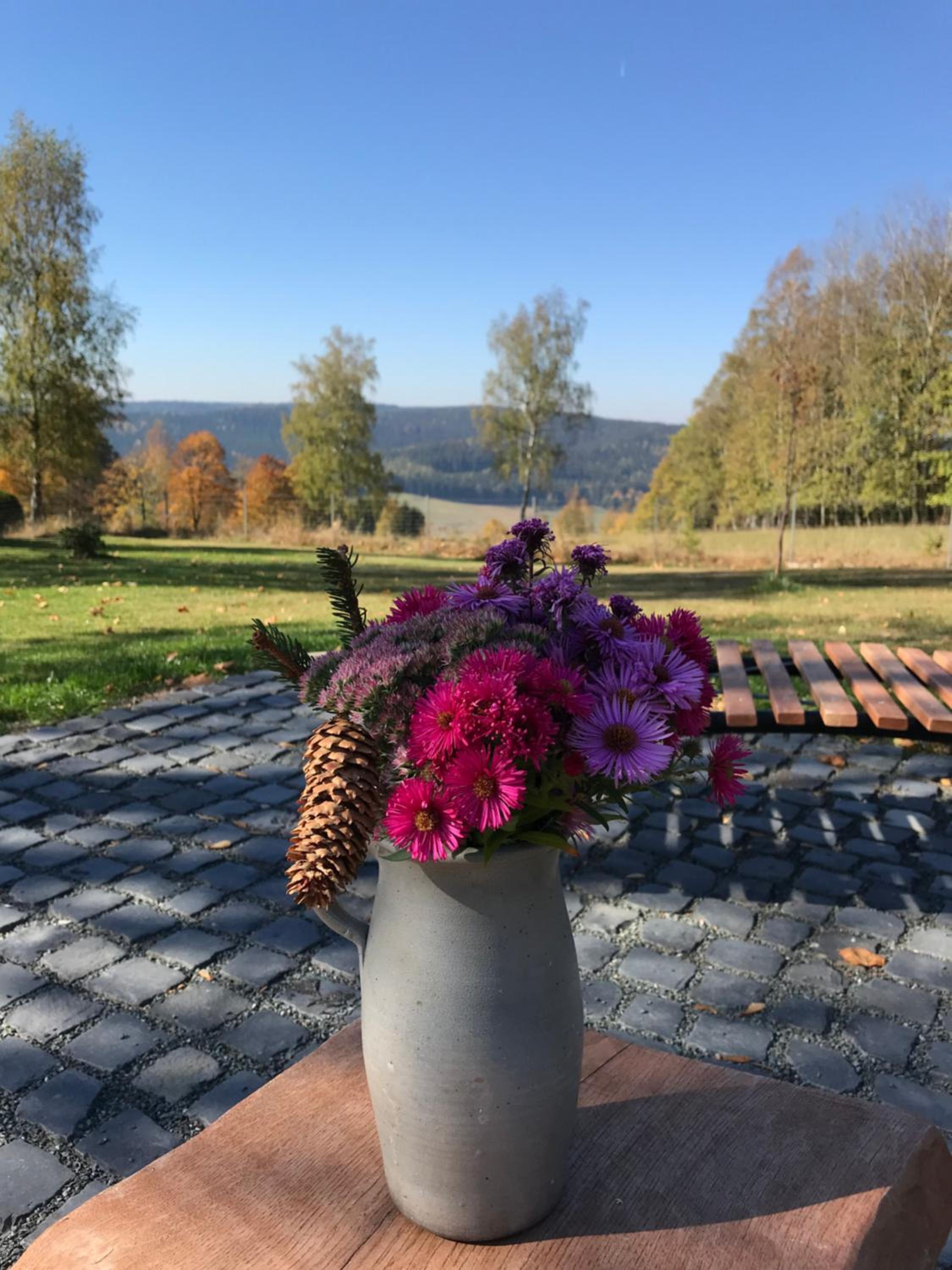 Ferienhaus Berghütte Vogtland in Klingenthal