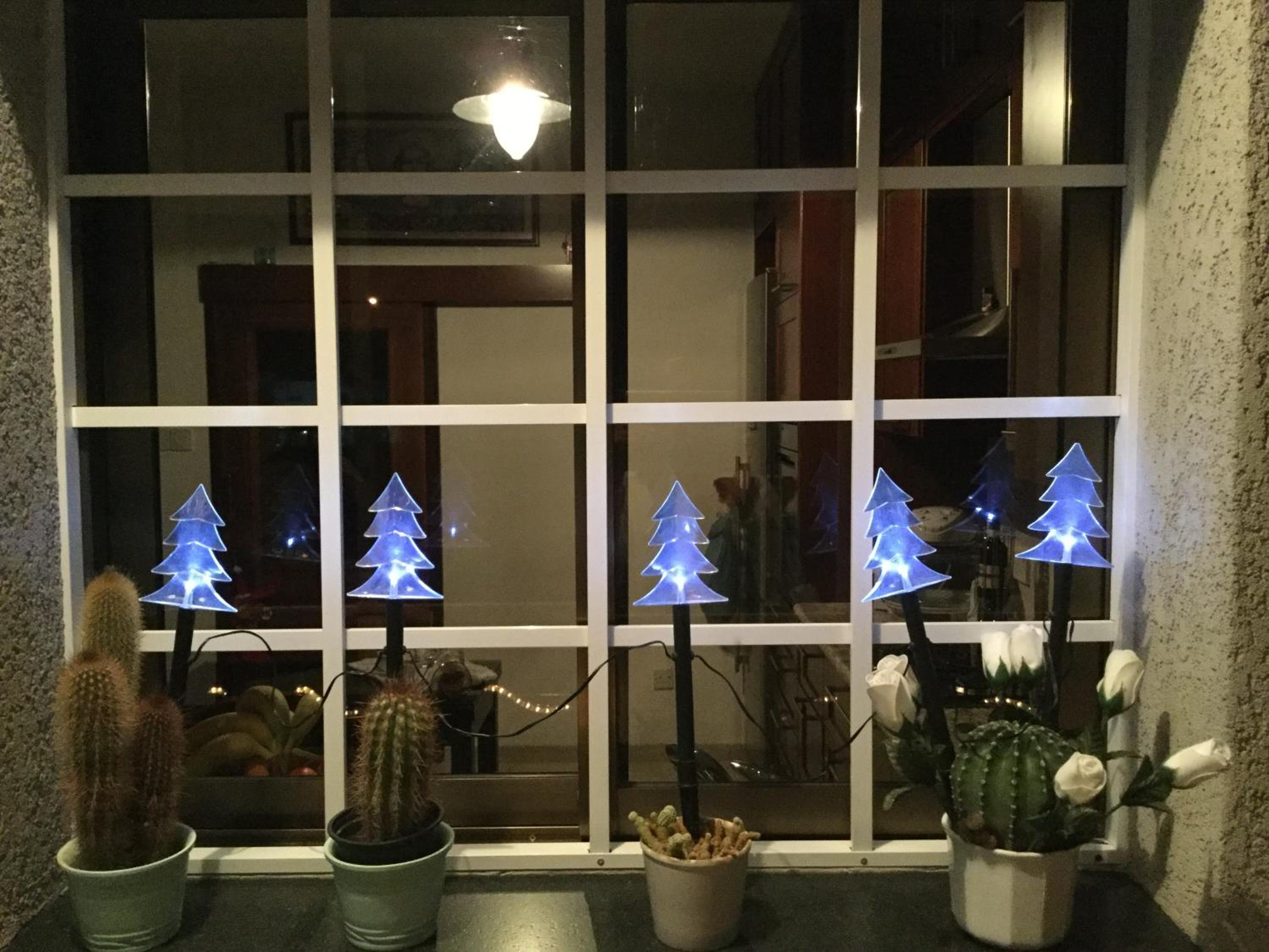 Nikola's House