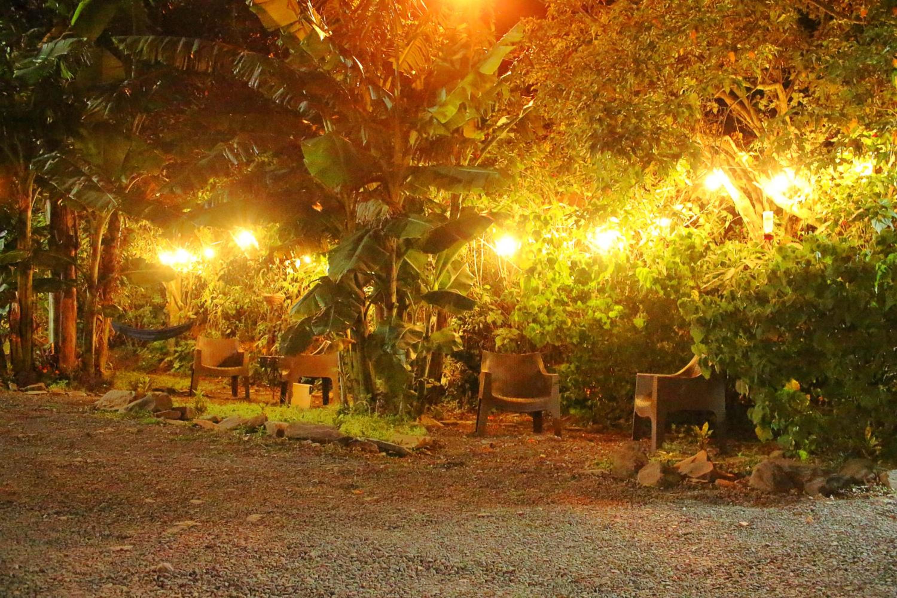 Casa Jungle Monteverde B&B