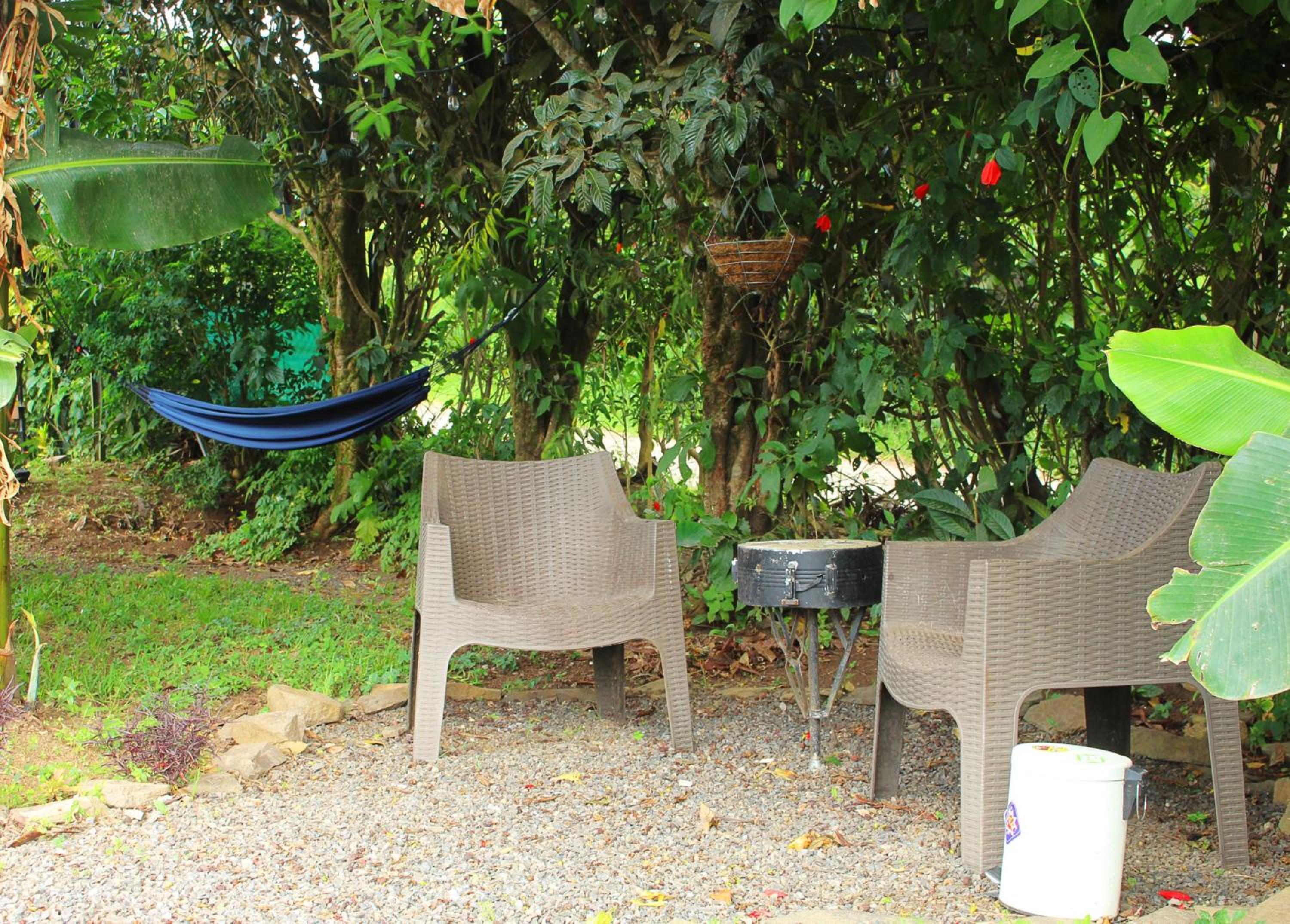 Casa Jungle Monteverde B&B